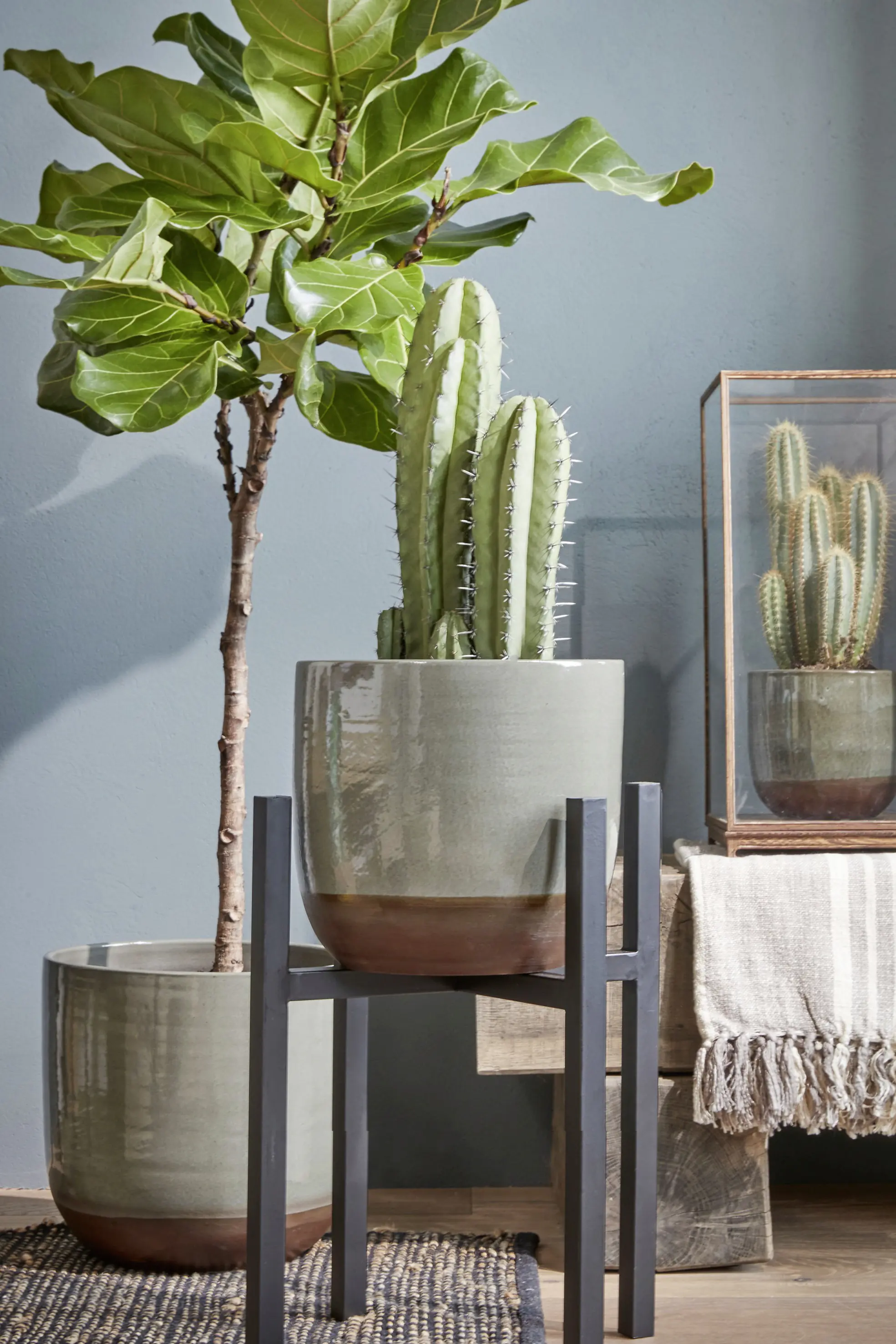 Mica Ascot XL Pflanzenständer Ascot XL schwarz Eisen 34 x 34 x 49,5 cm