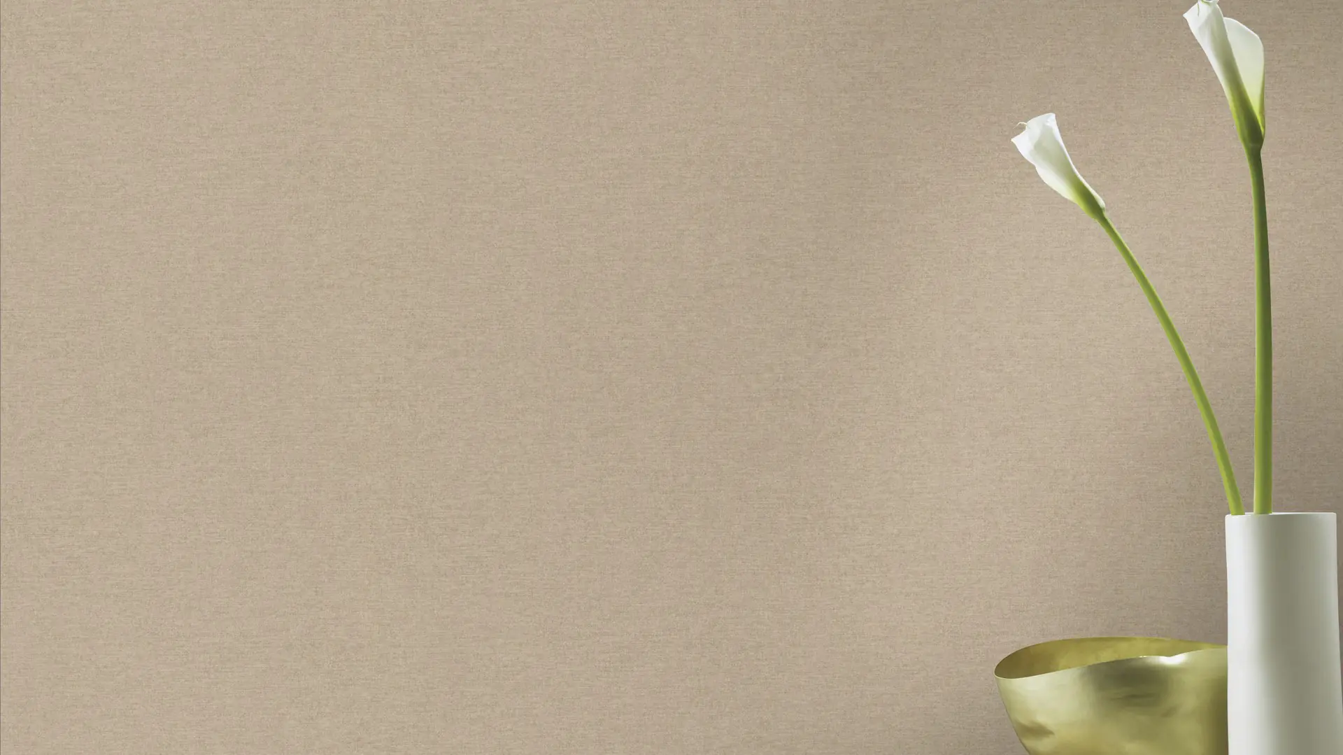 Schöner Wohnen Vliestapete Uni hellbraun 10,05 x 0,53 m