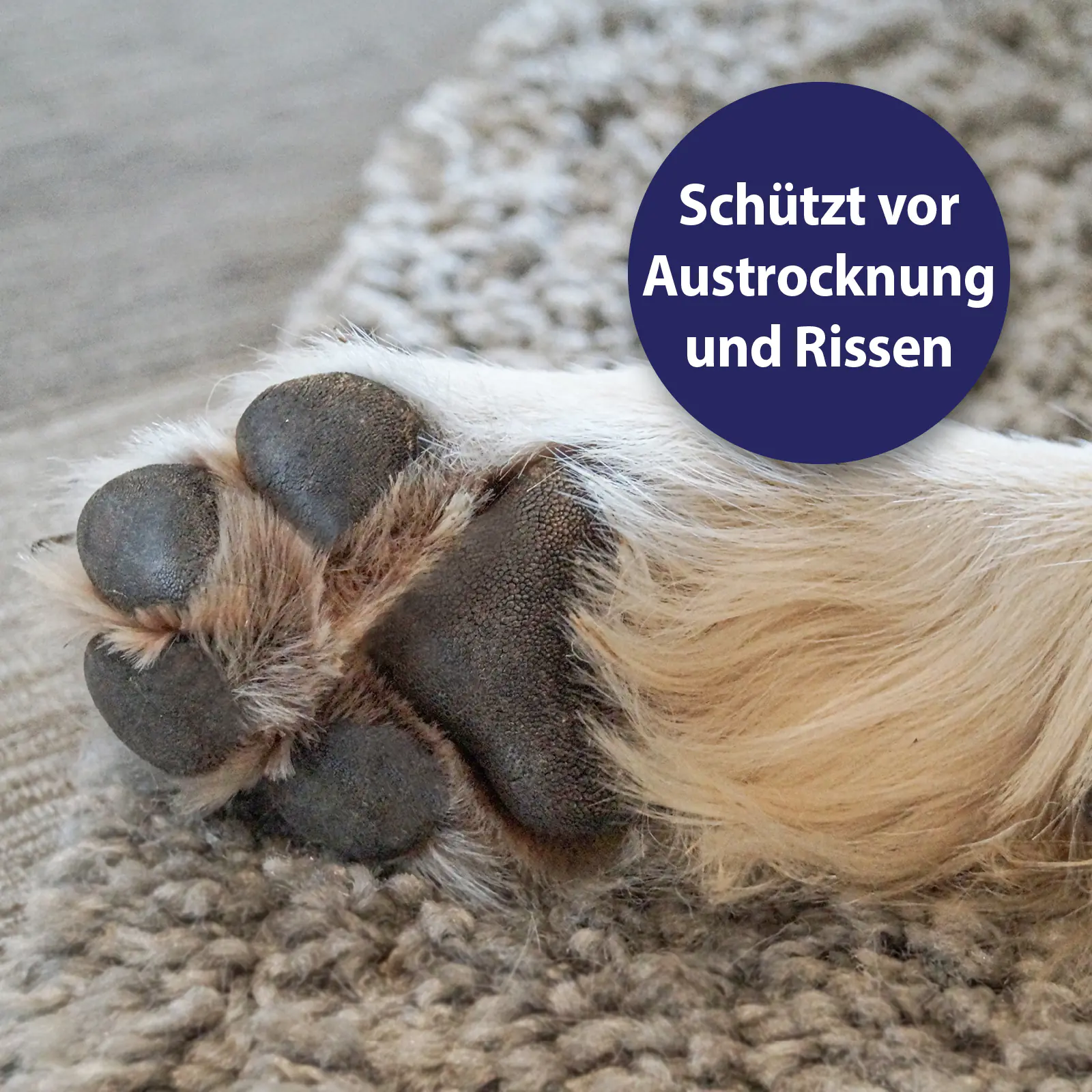 Canosept Pfotenpflege für Hunde 75 g Canosept Pfotenpflege für Hunde 75 g