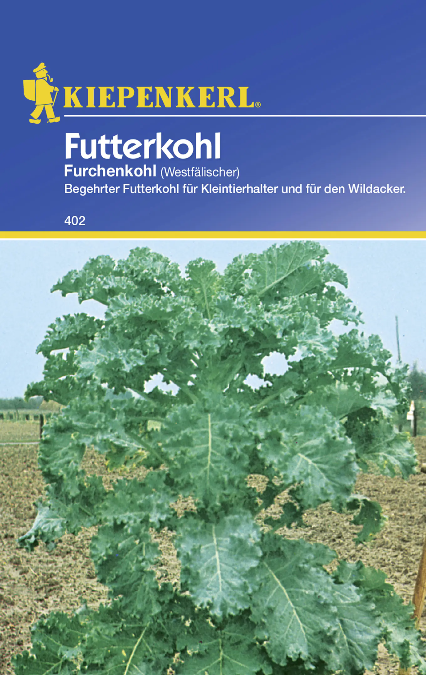 Kiepenkerl Futterkohl Furchenkohl Brassica oleracea var. viridis, Inhalt: ca. 250 Pflanzen