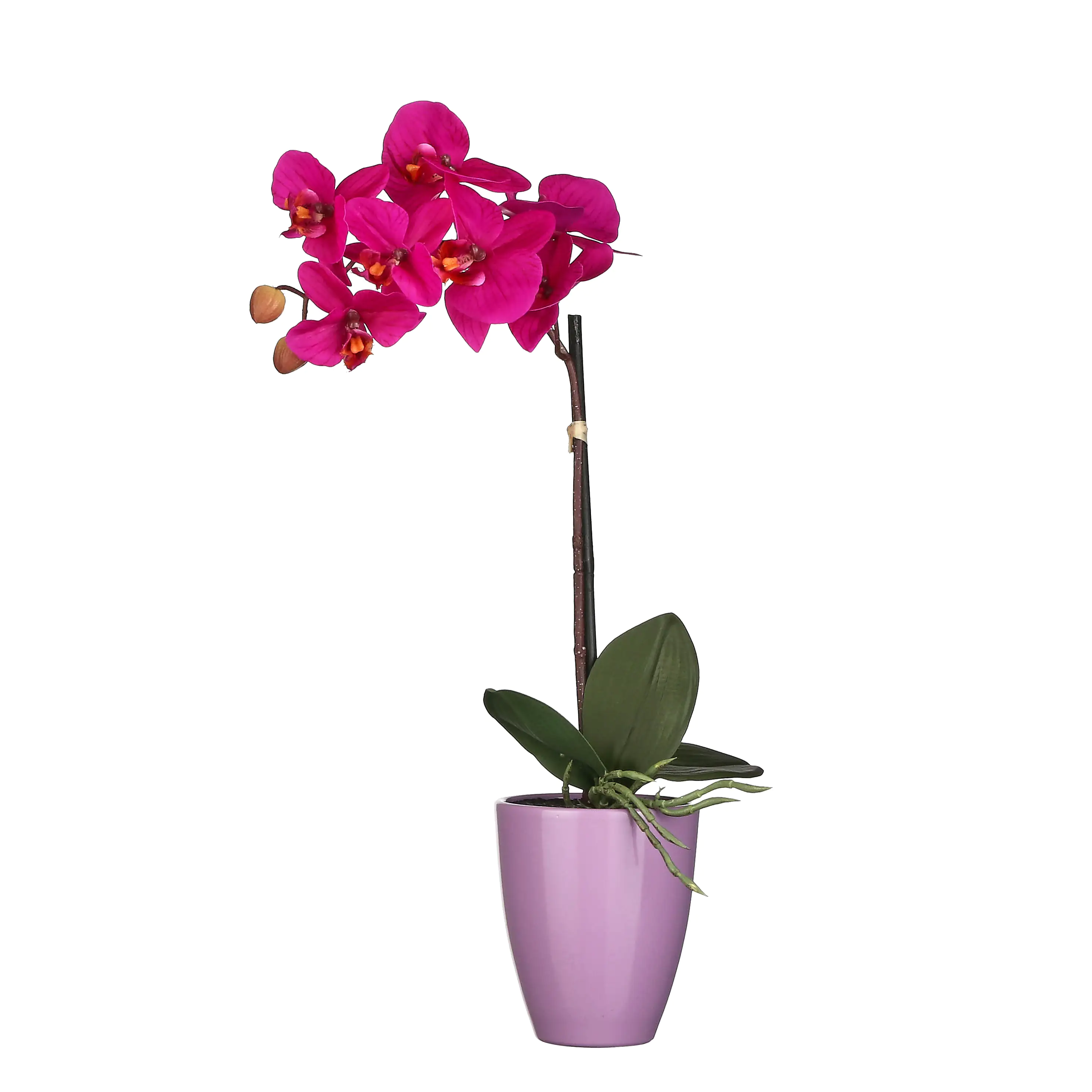 Mica Kunstpflanze Phalaenopsis im Topf violett, 42 x 20 cm