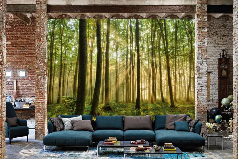 papermoon Vlies- Fototapete Digitaldruck 350 x 260 cm Forest