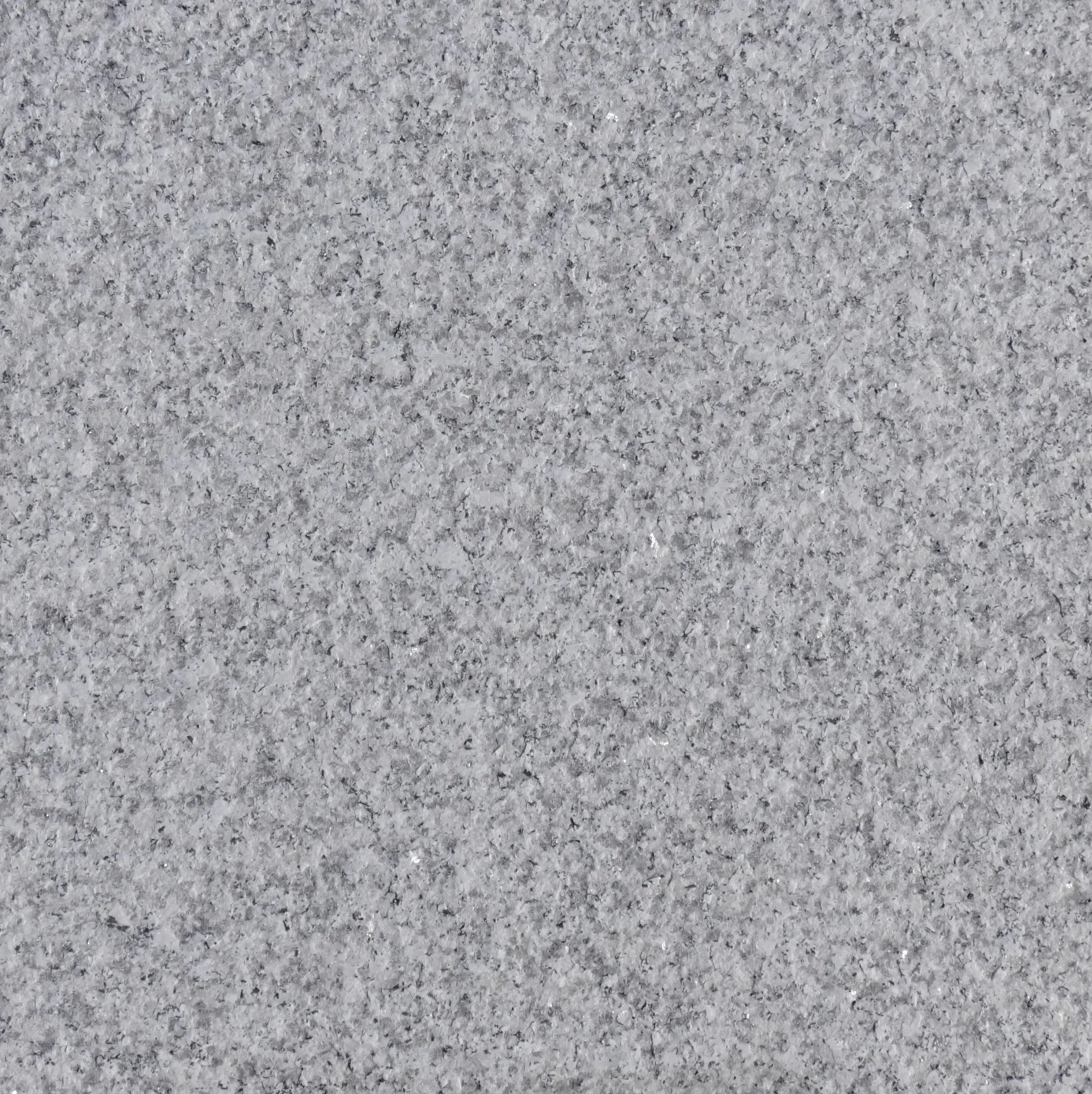Terrassenplatte Granit 40 x 40 x 3 cm grau Terrassenplatte Granit 40 x 40 x 3 cm grau
