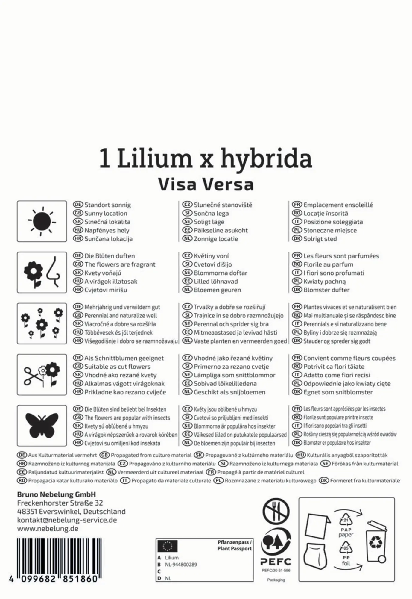 Kiepenkerl Herbstblumenzwiebel Profi-Line Baumlilie Visa Versa 1 Stück