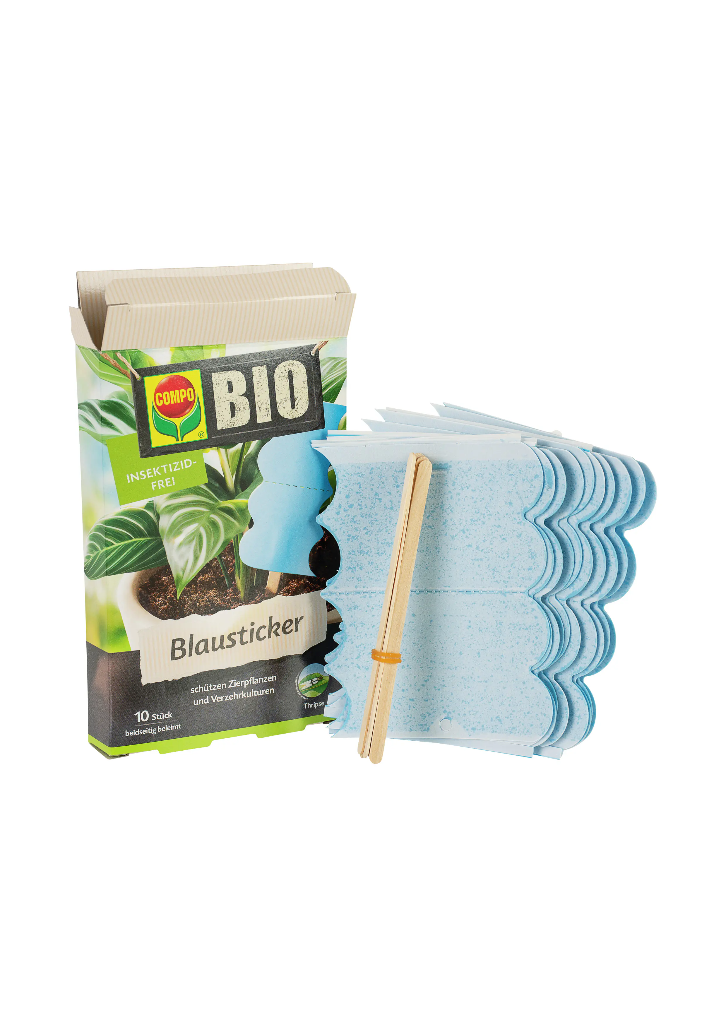 Compo Bio Blausticker gegen Thripse 10 Stück