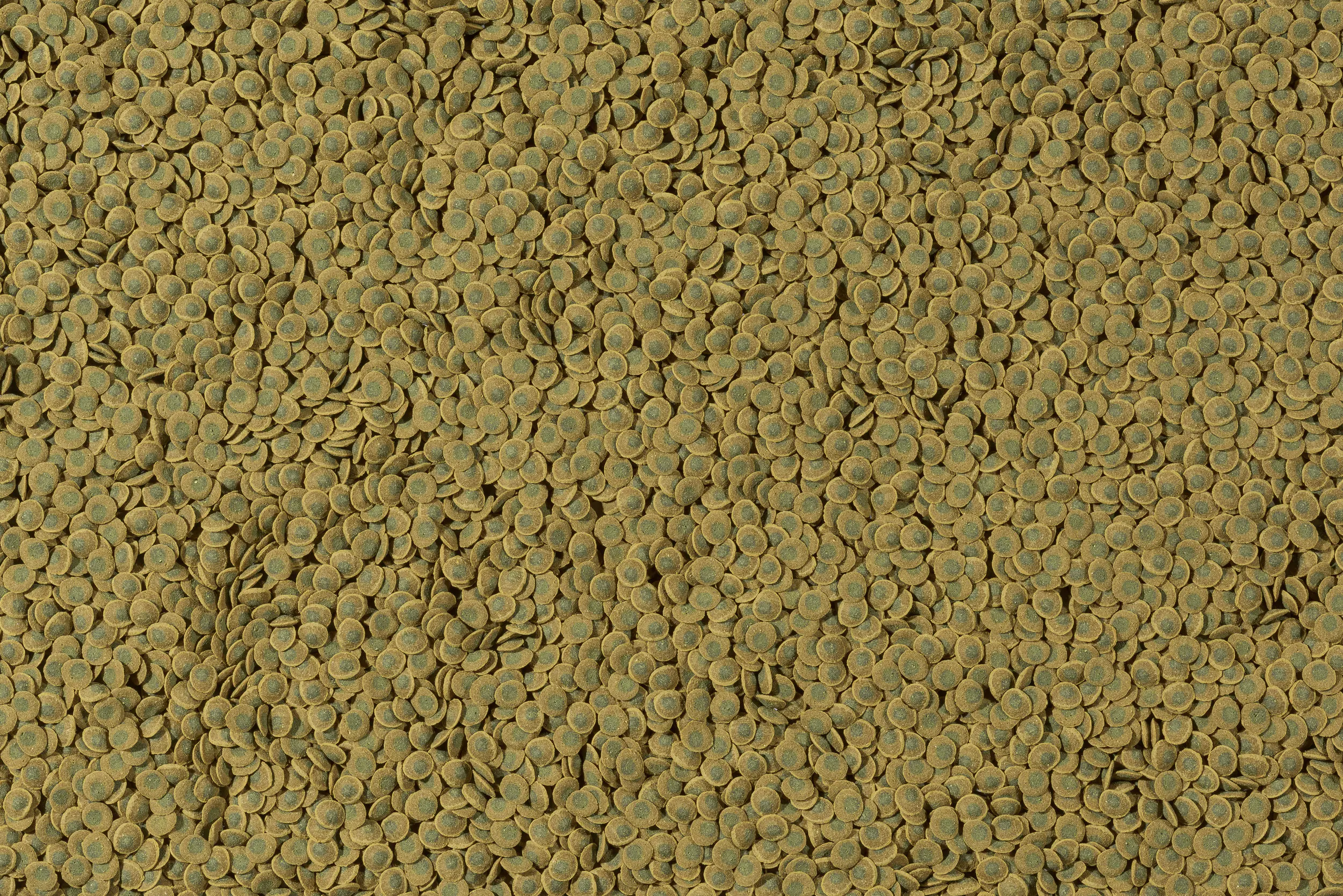 Tetra Pleco Veggie Wafers 250 ml