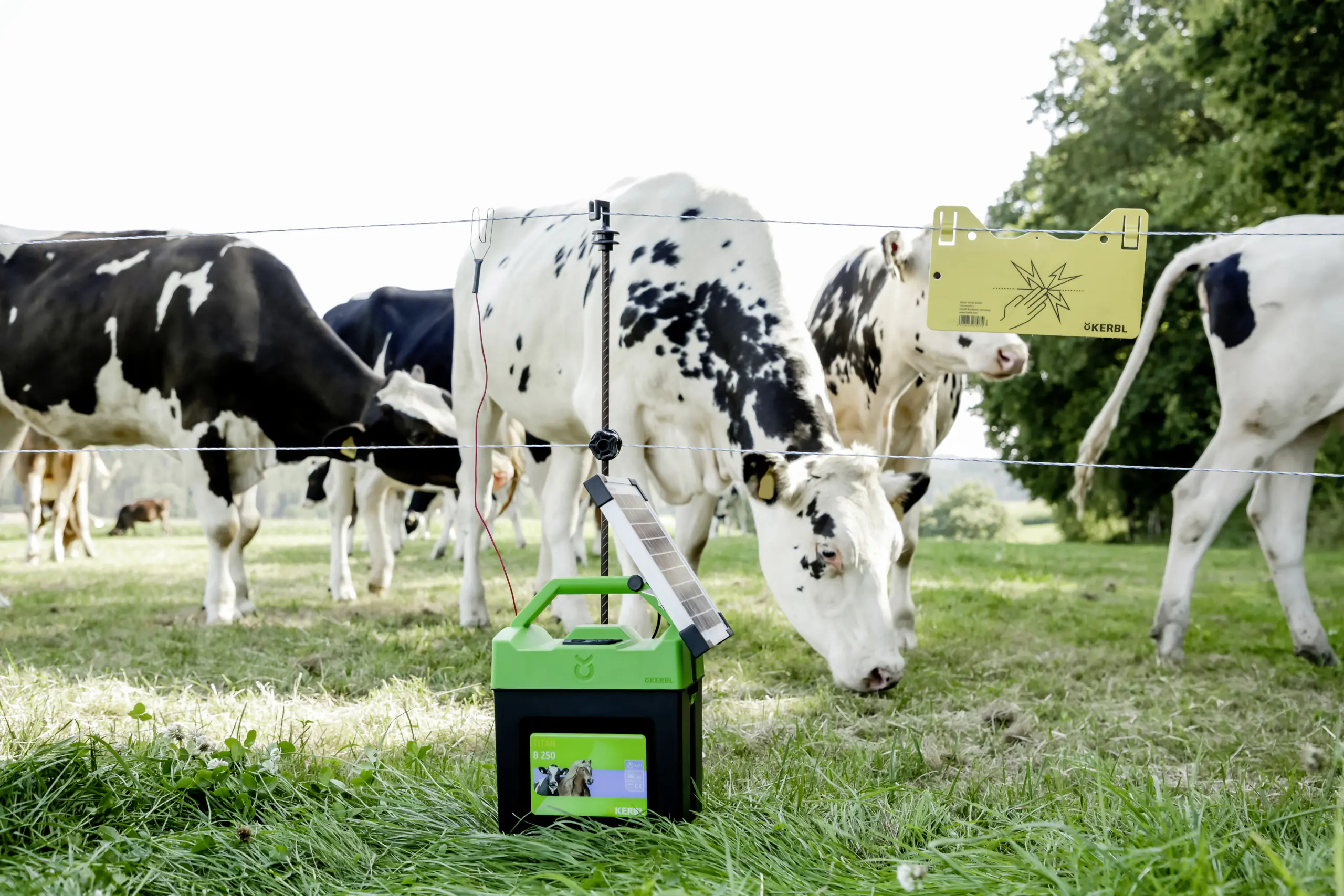 Kerbl Weidezaungerät Titan B250