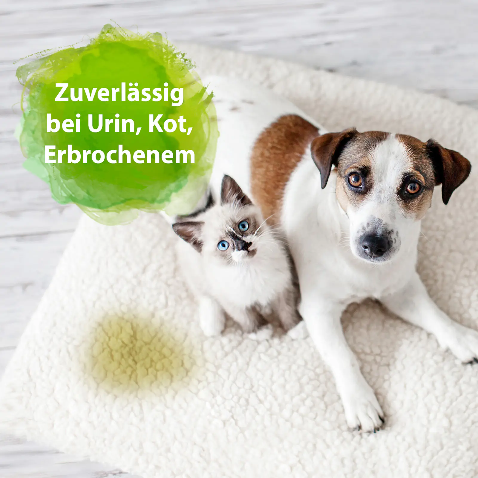 Bactador Geruchs- und Fleckenentferner Konzentrat 1 L