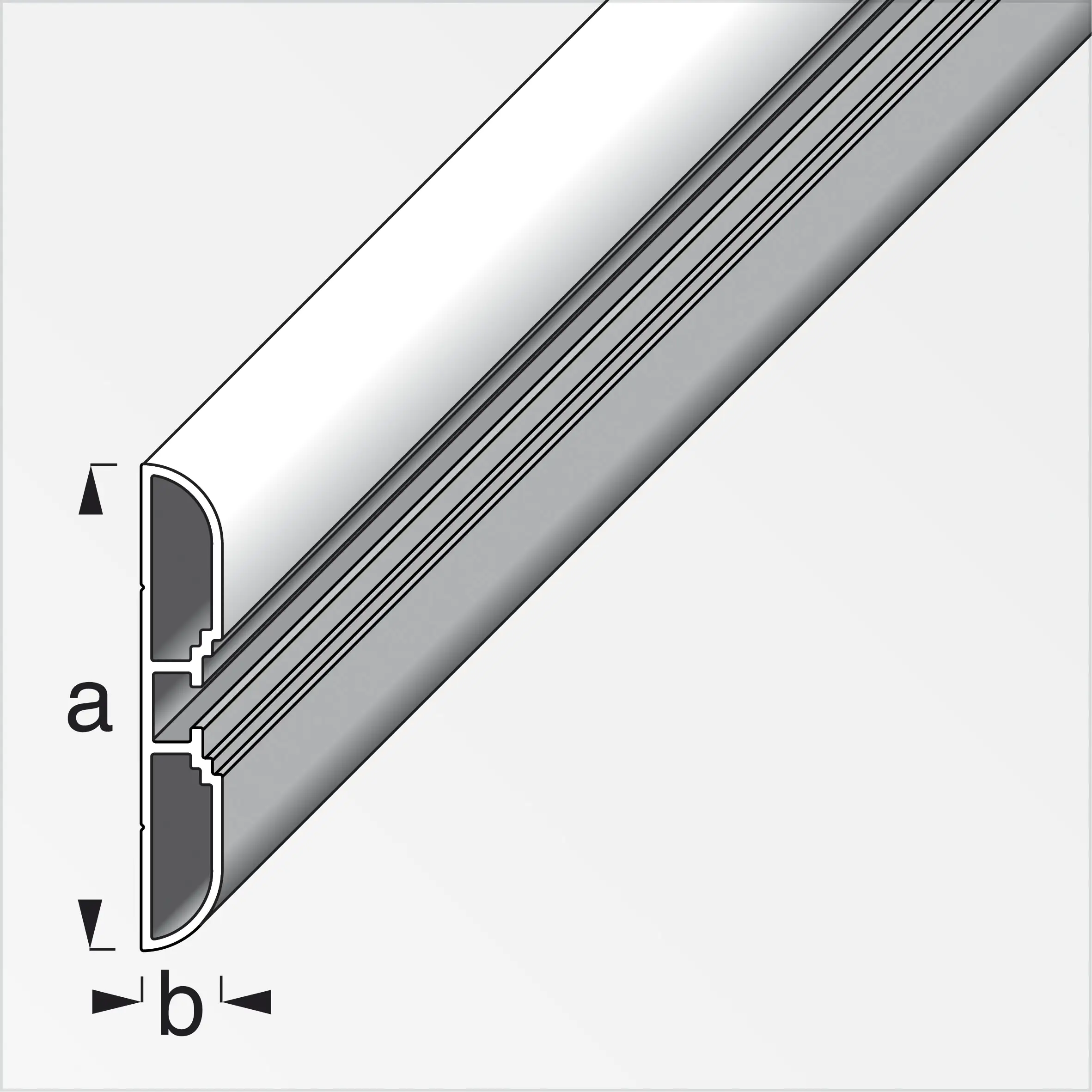 coaxis®-Profil, breit 1 m, 60 x 10 mm Aluminium roh blank coaxis®-Profil, breit 1 m, 60 x 10 mm Aluminium roh blank