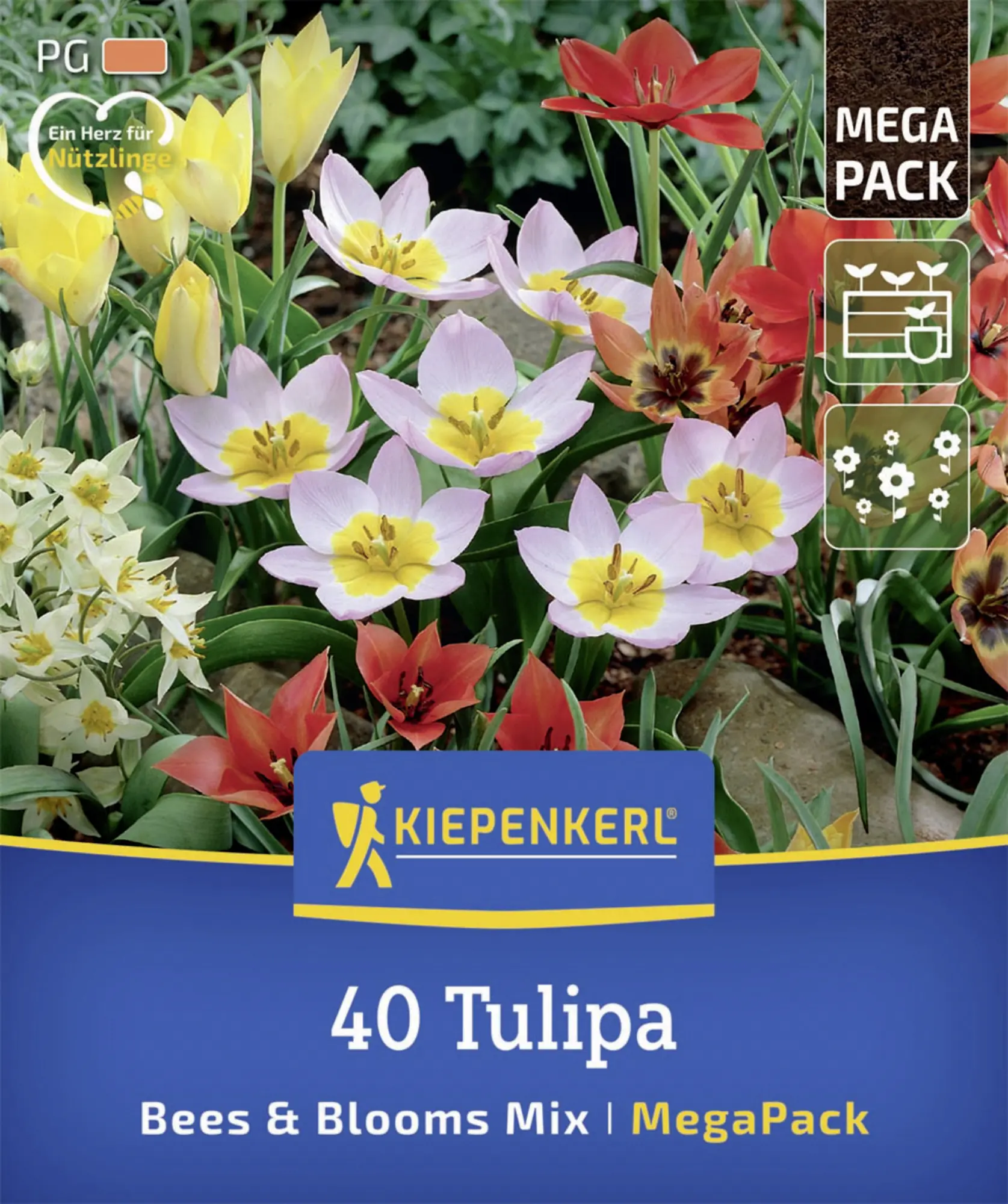 Kiepenkerl Herbstblumenzwiebelmischung Mega-Pack Bees & Blooms 40 Stück
