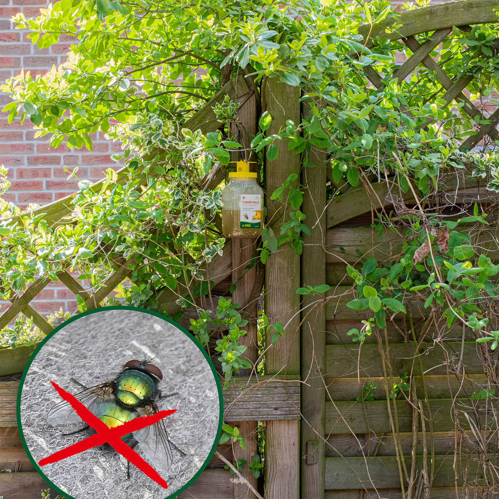 Gardigo Fliegenfalle Monitoring inklusive Lockmittel