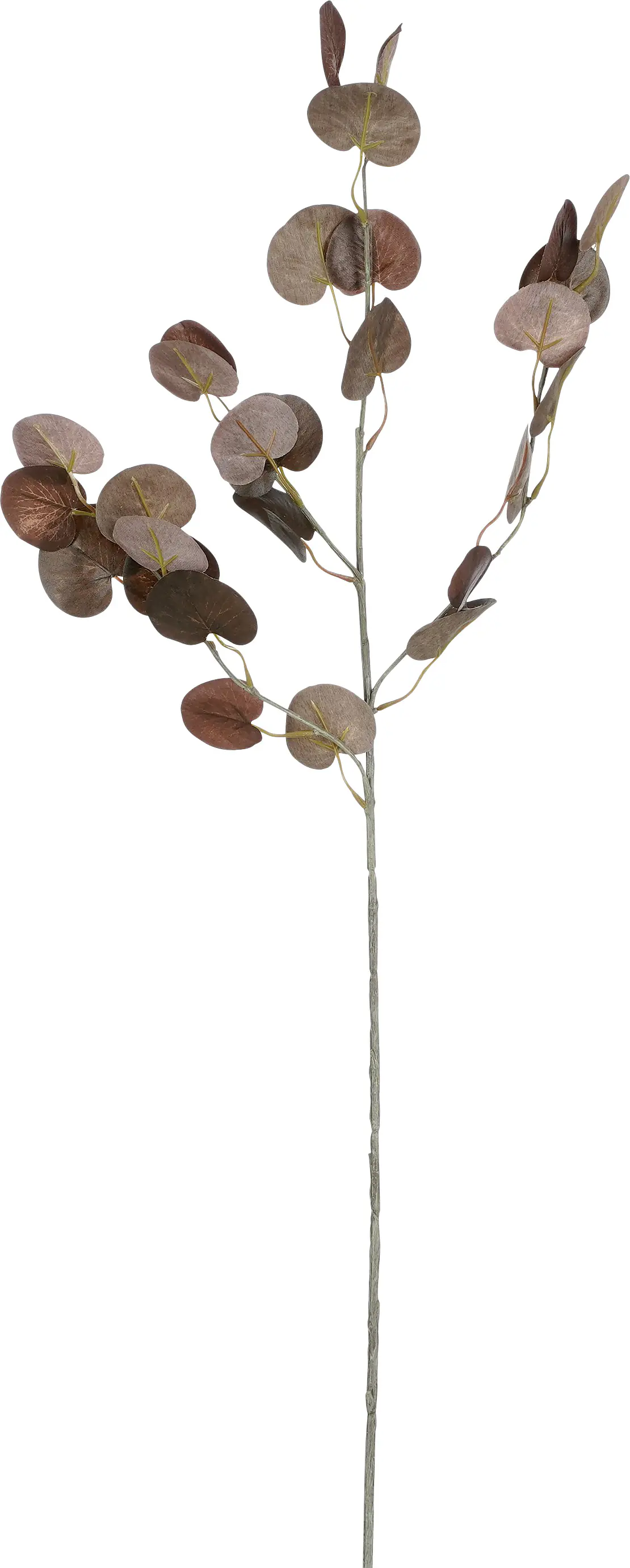 Mica Decorations Kunstpflanze Eukalyptuszweig 73 cm braun