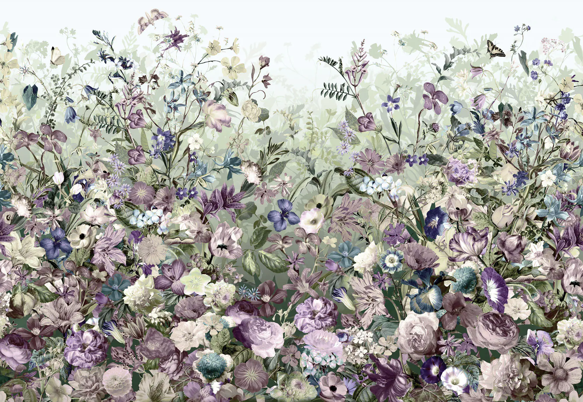 Komar Vlies Fototapete Botanica 368 x 248 cm 