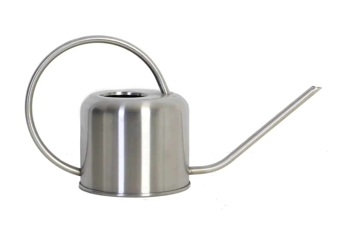 Gießkanne 1 L Edelstahl silber matt