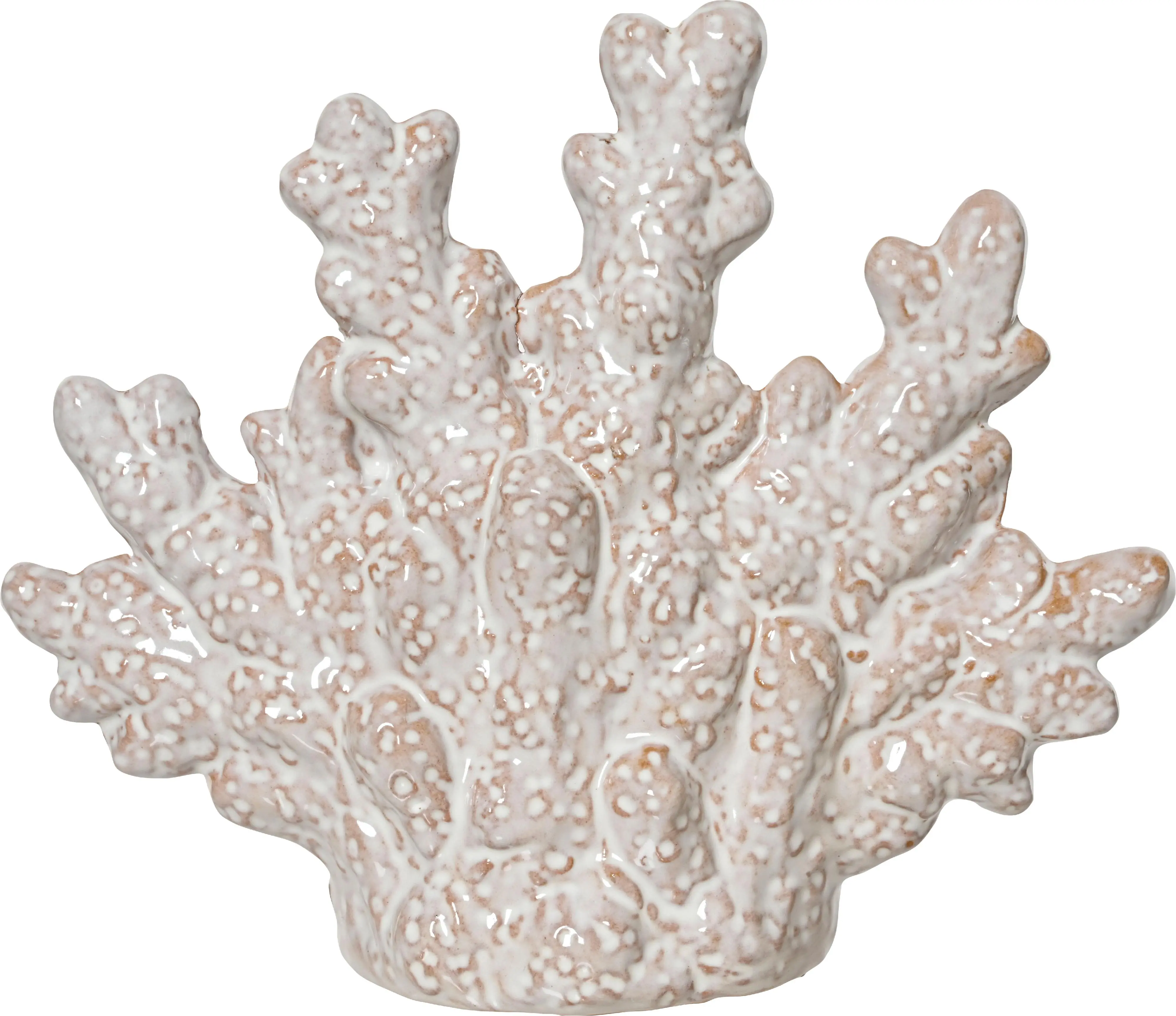 Kaemingk Tisch-Deko Muschel Porzellan 15 cm beige