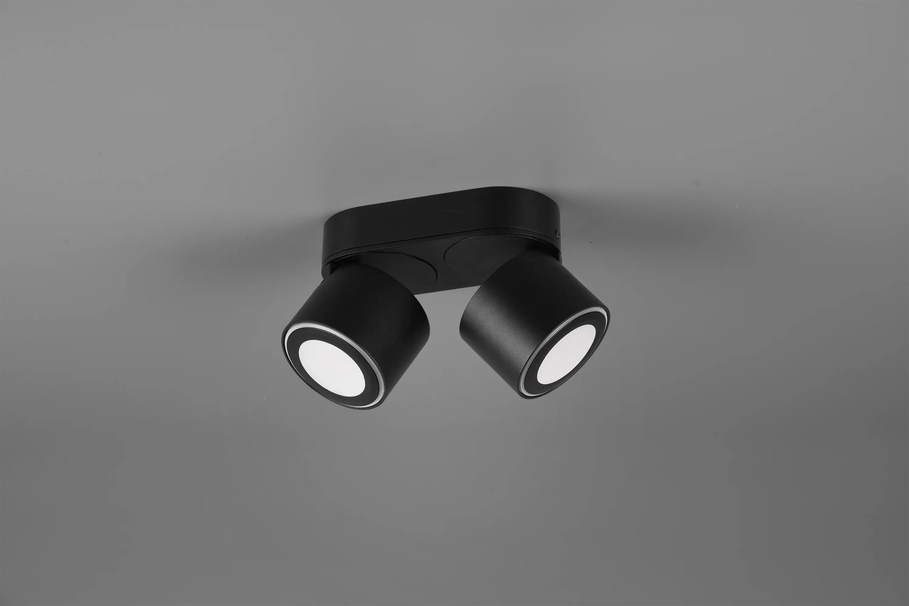 Trio Leuchte 2er Spot Taurus schwarz