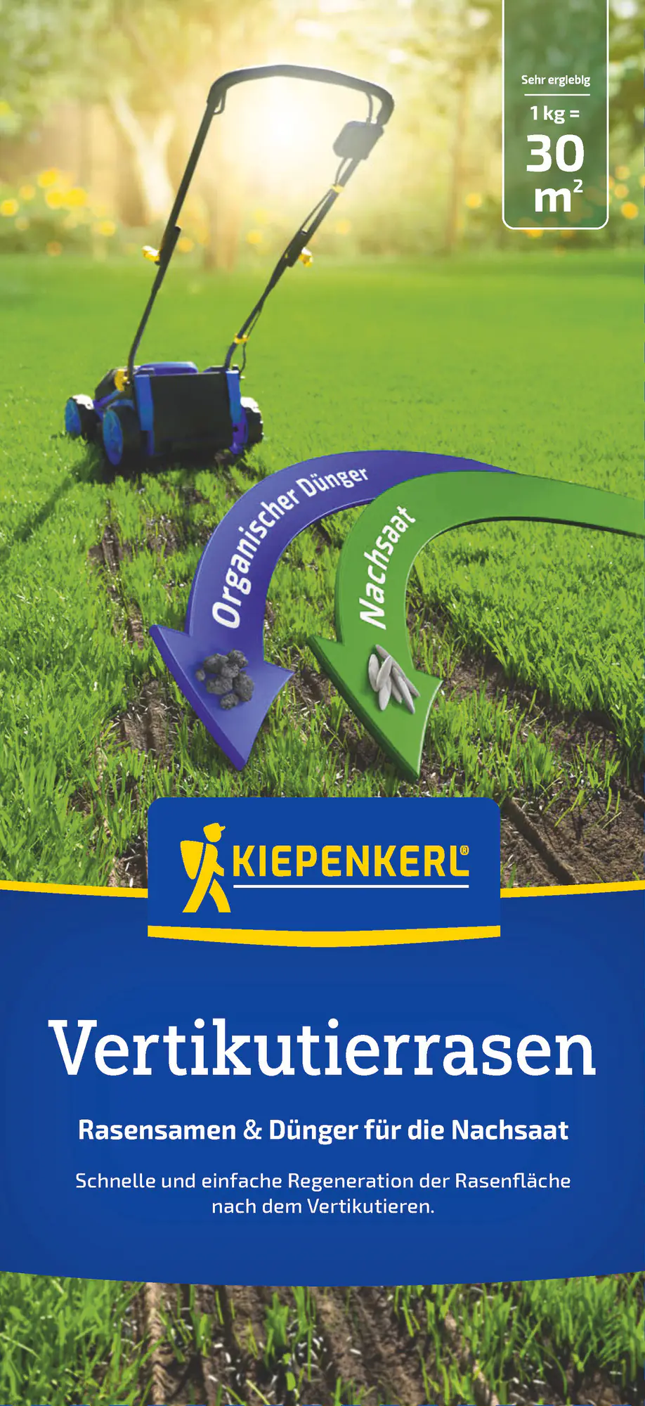 Kiepenkerl Saatgut Vertikutierasen 1 kg für ca. 30 m²