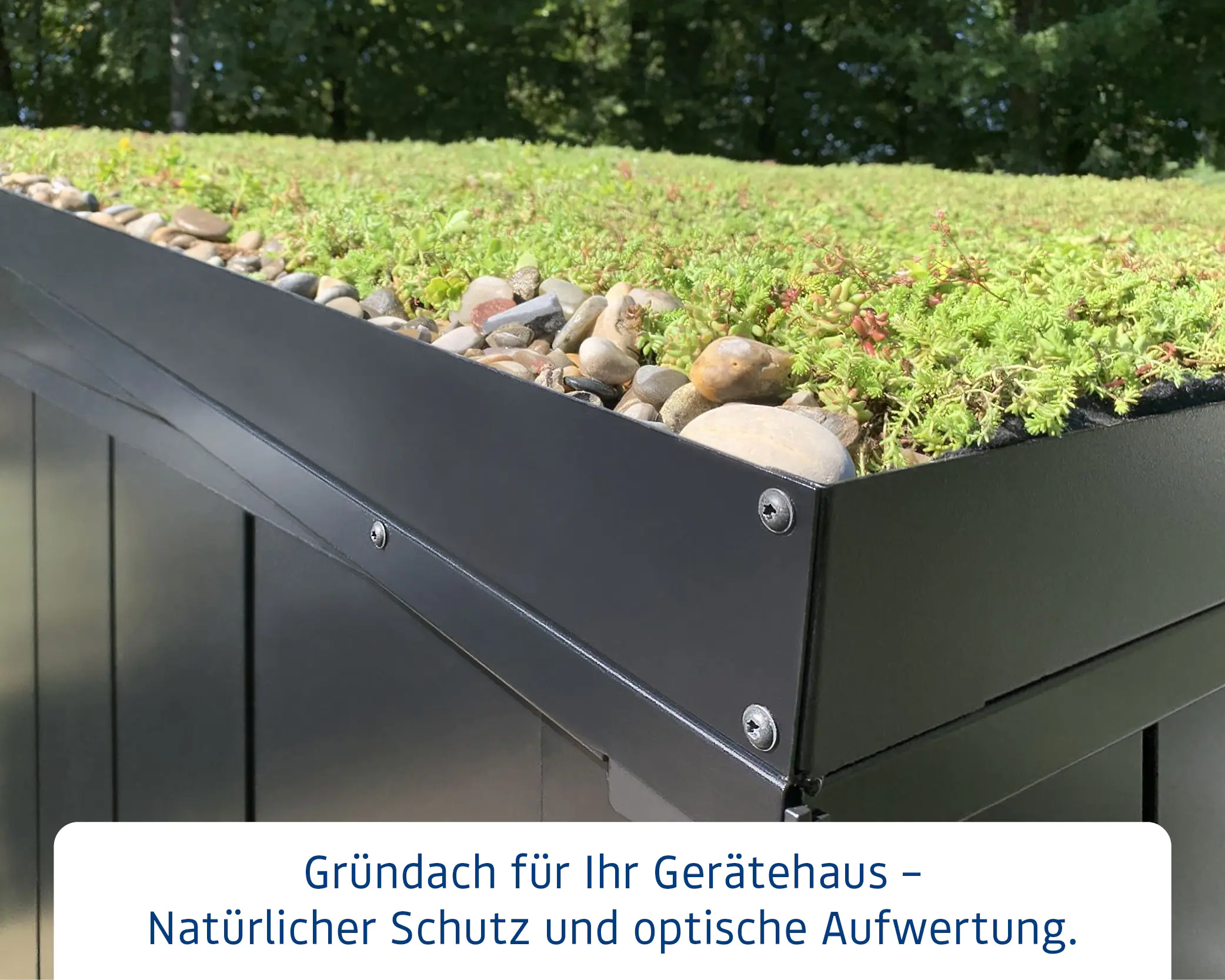 EcoStar Dachrahmen für Gründach Pultdach Typ 3 blau EcoStar Dachrahmen für Gründach Pultdach Typ 3 blau