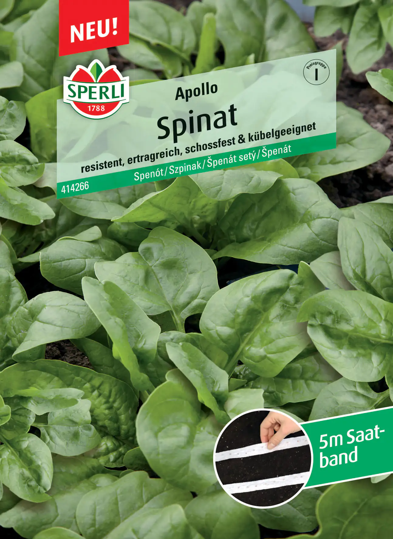 Sperli Spinat Apollo F1 Saatband