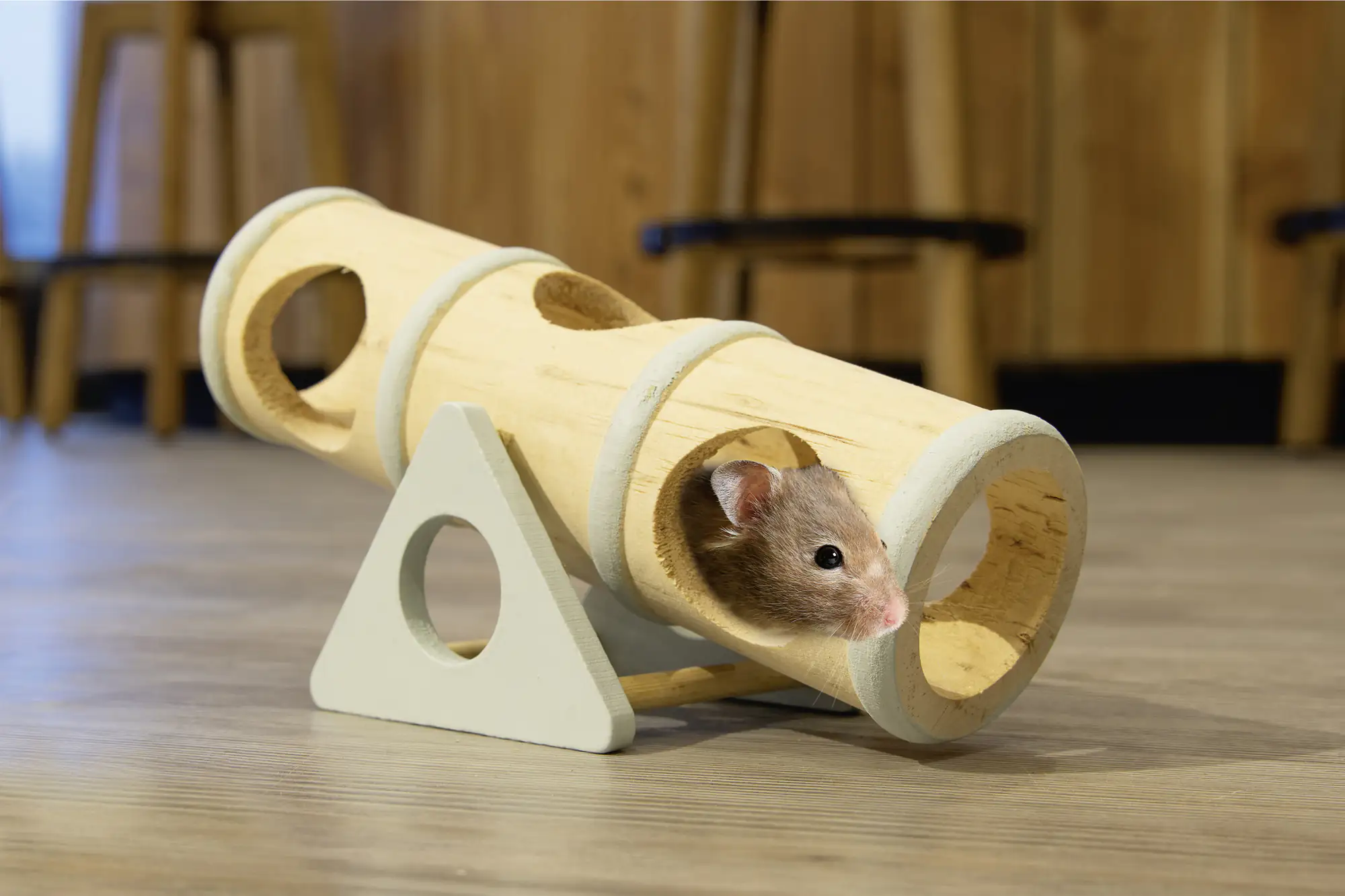 Beeztees Nager Spielzeug Clovis Holz 