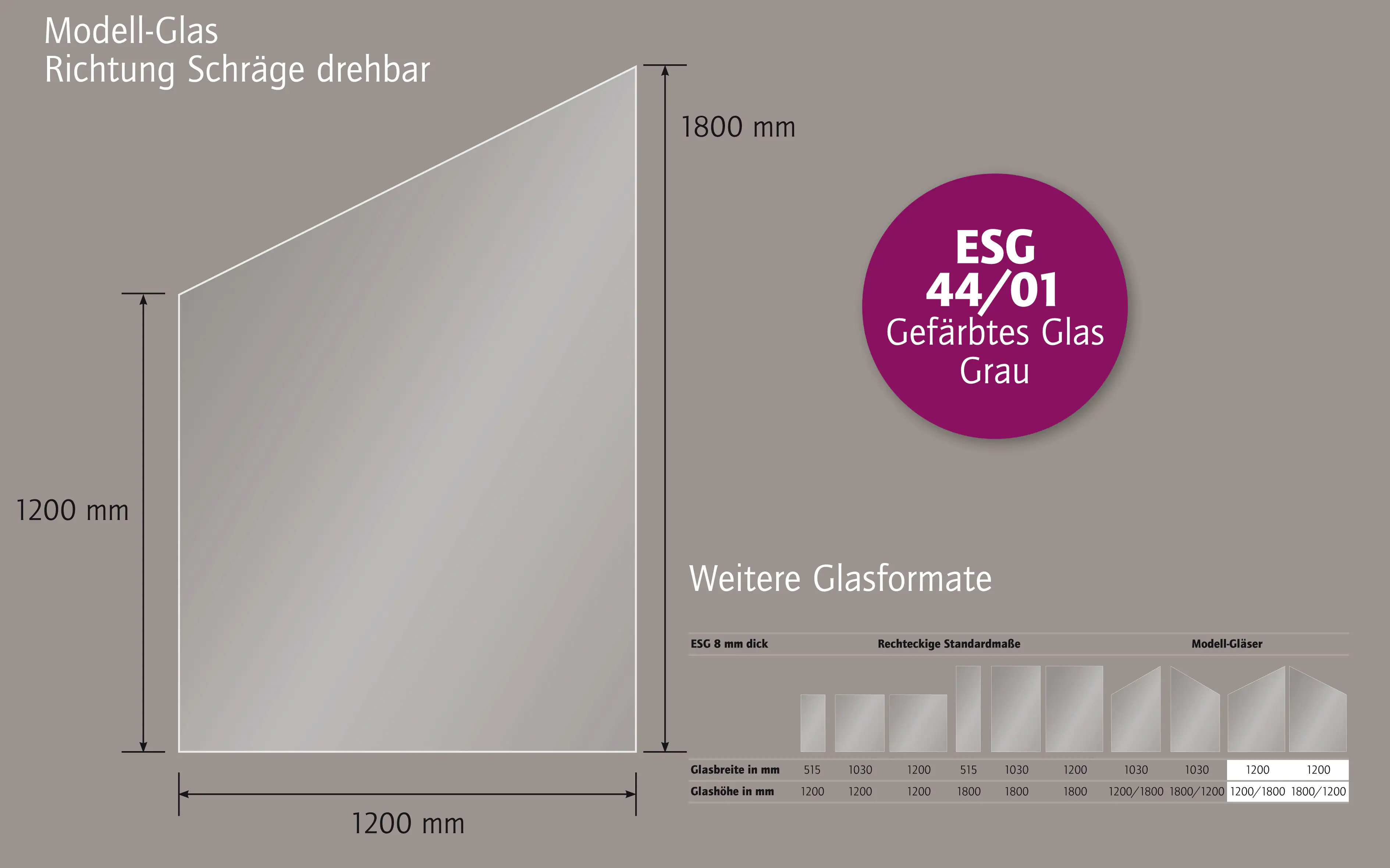 Ambiente Glaszaun schräg B: 120 x H: L 120/R 180 cm, gehärtetes 8 mm Glas Ambiente Glaszaun schräg B: 120 x H: L 120/R 180 cm, gehärtetes 8 mm Glas