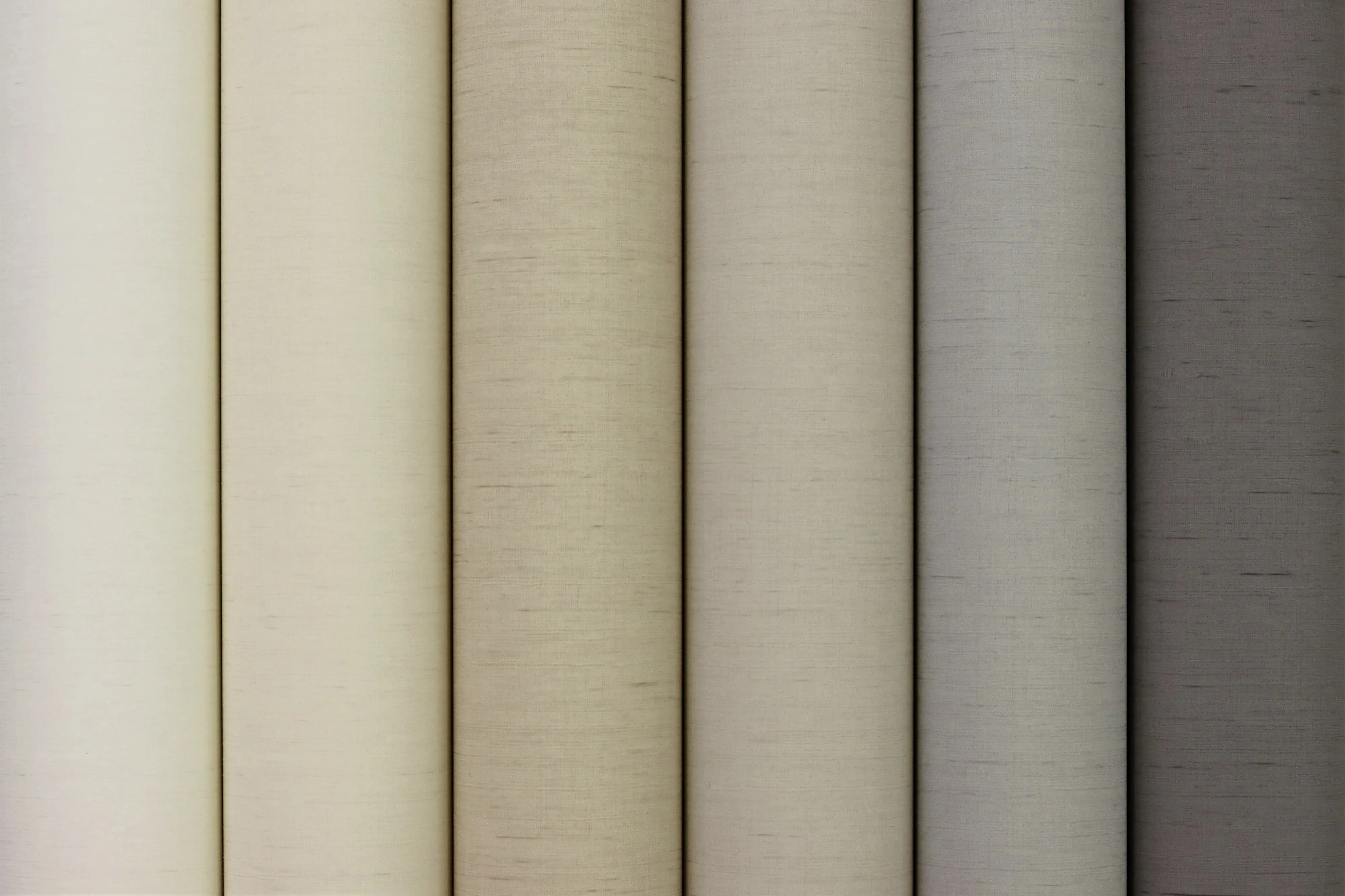 Rasch Vliestapete 746037 Beige-Dunkelbeige Uni 10,05 m x 0,53 m