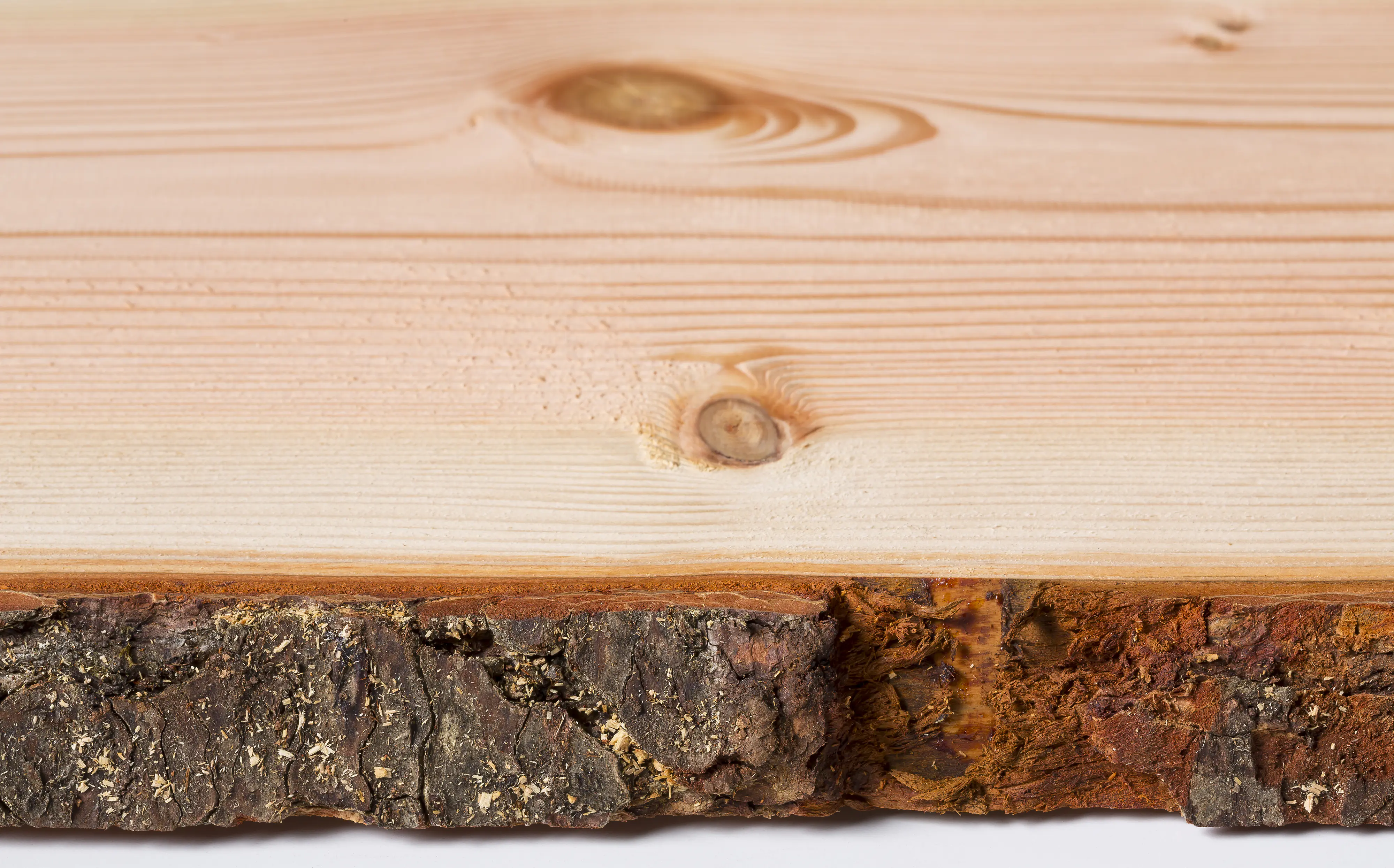 Holzbrett Massivholz Douglasie unbesäumt 120 x 37 cm 30 mm