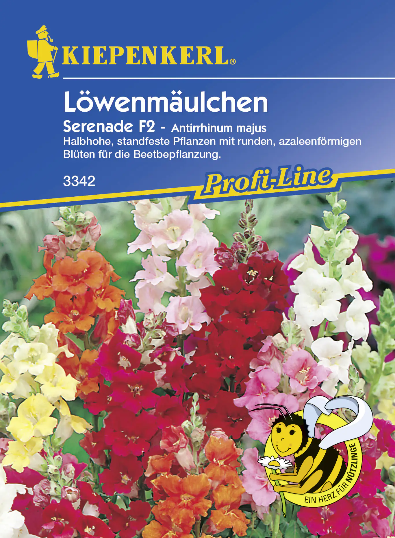 Kiepenkerl Löwenmäulchen Serenade F1 ca. 80 Pflanzen