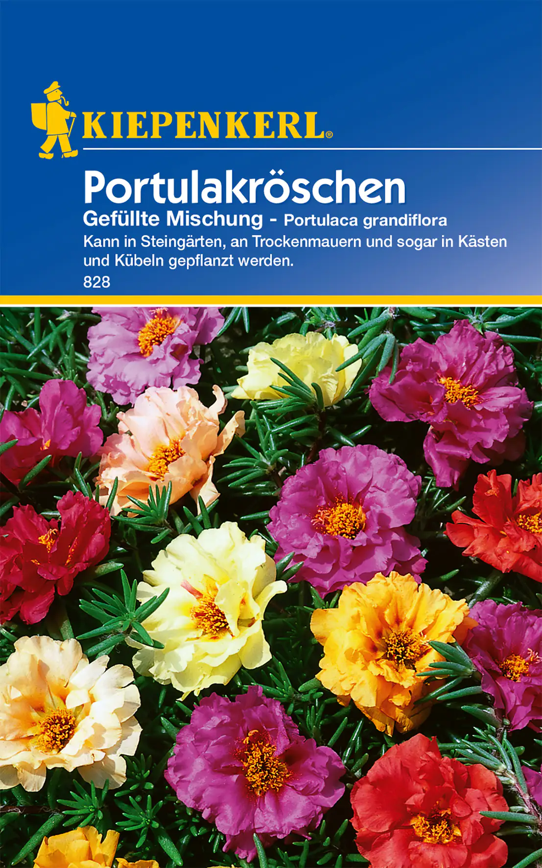 Kiepenkerl Portulakröschen Gefüllte Mischung