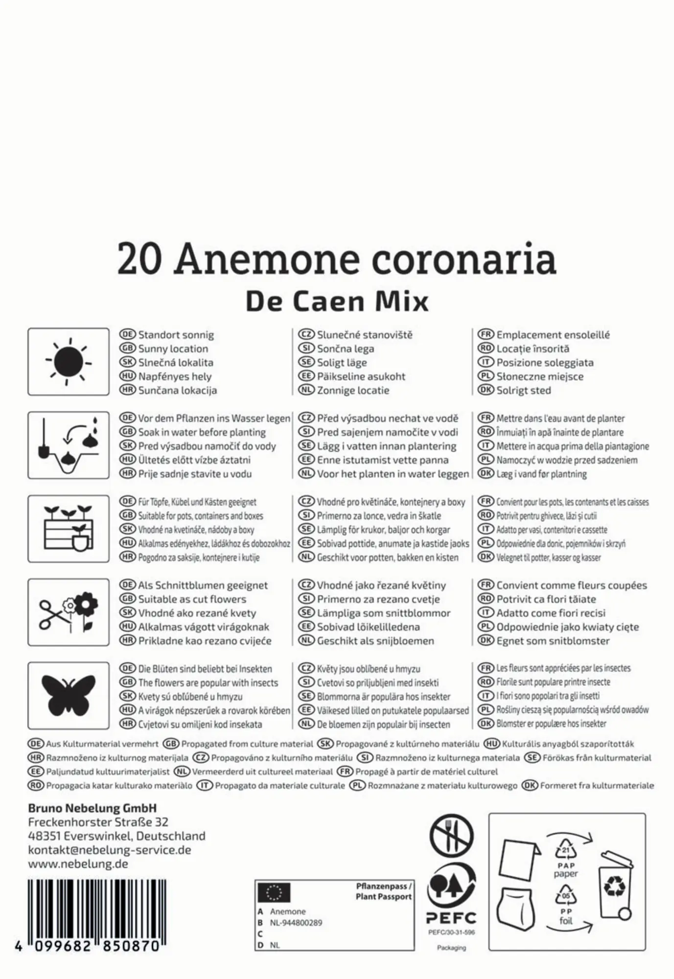Kiepenkerl Herbstblumenzwiebel Kronen-Anemonen De Caen Mischung 20 Pflanzen