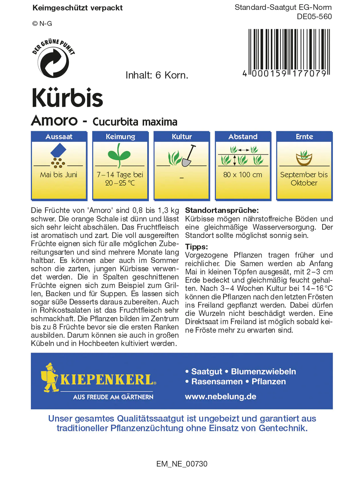 Kiepenkerl Kürbis Amoro Cucurbita maxima, Inhalt: 6 Korn
