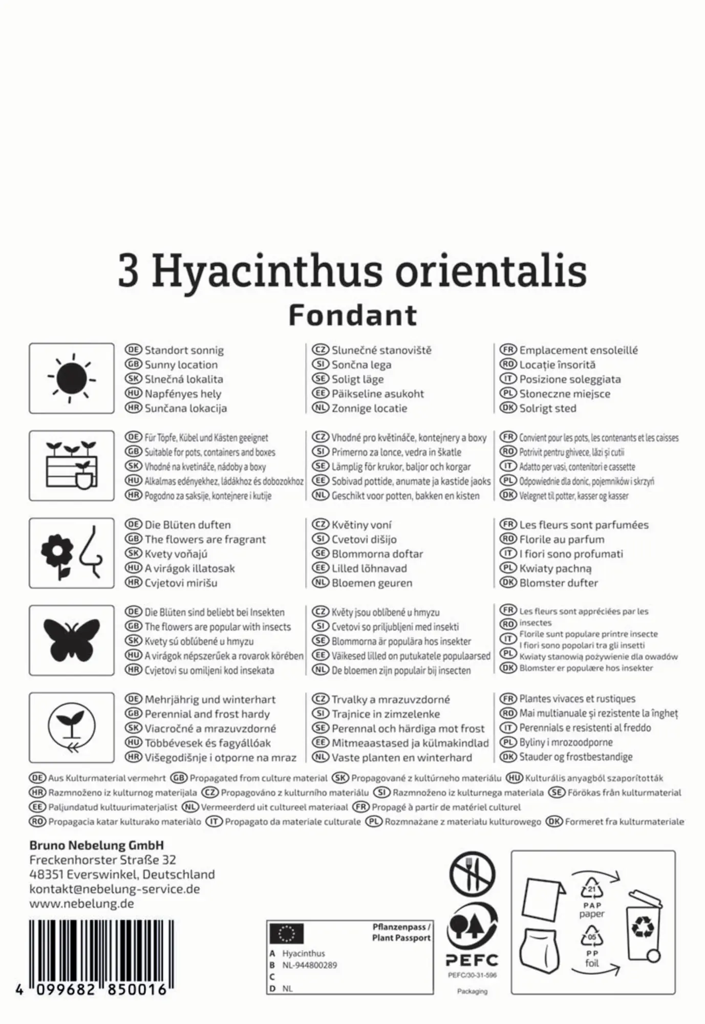 Kiepenkerl Herbstblumenzwiebel Hyazinthe Fondant 3 Stück