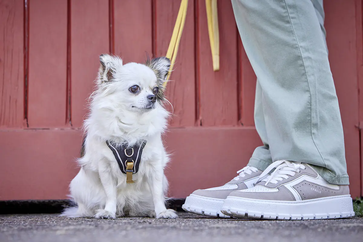 Wolters Hundeleine Professional Comfort curry gelb