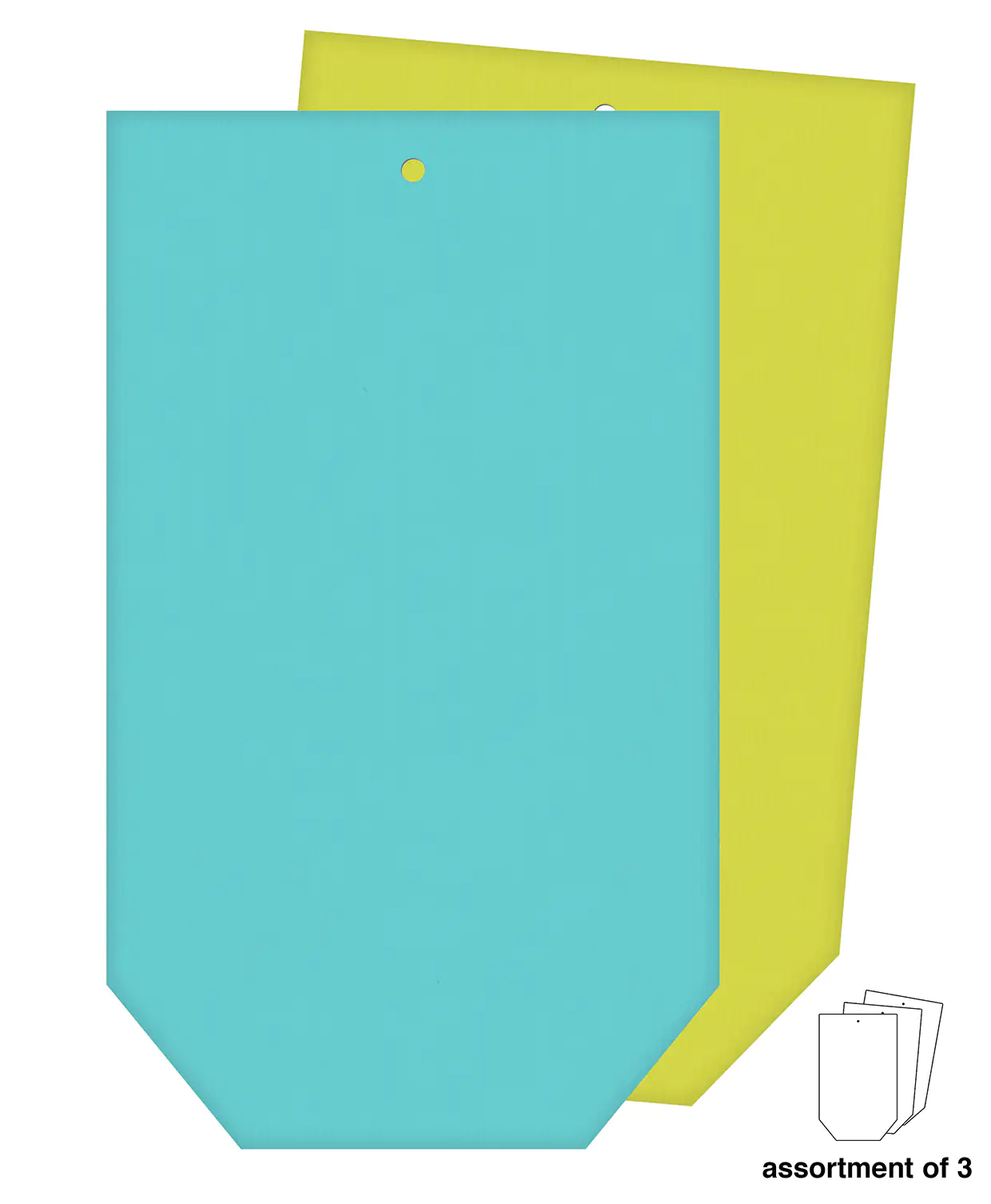 Braun & Company Geschenktasche grün blau 13 x 22 cm