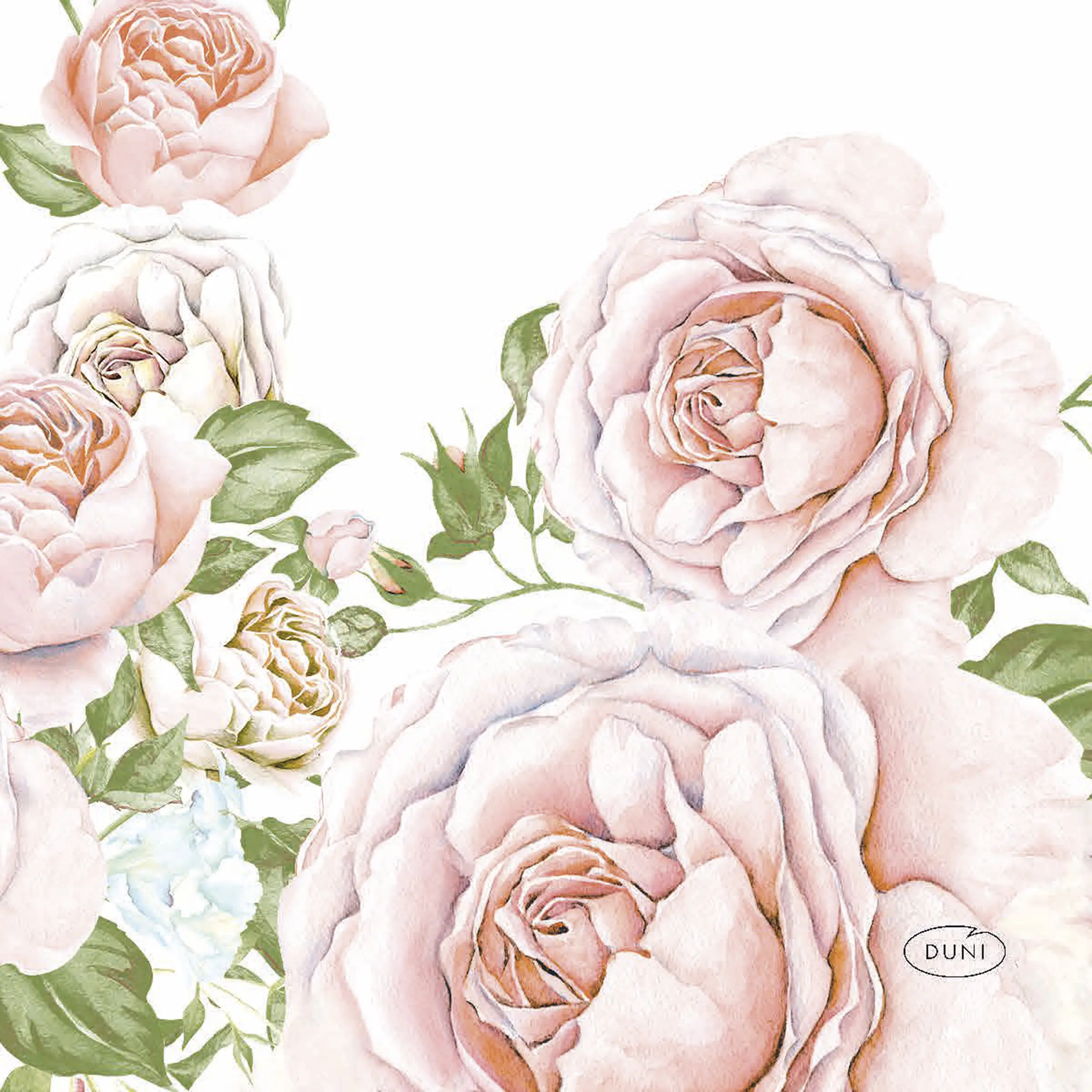 Duni Servietten Bio Rose Glory 24 x 24 cm - 20er Pack