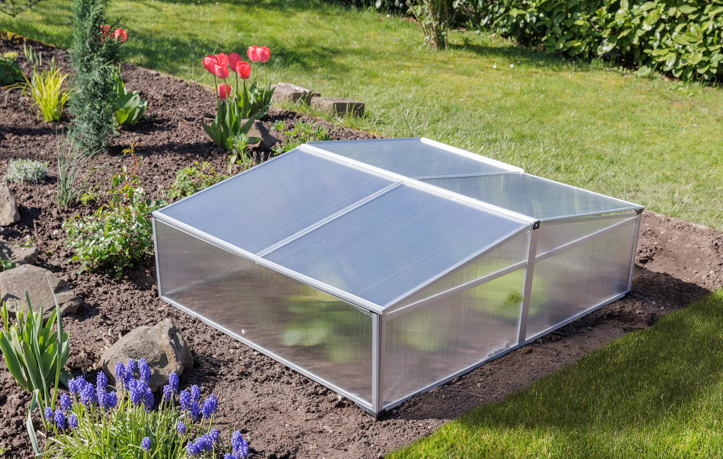 TrendLine Doppel-Frühbeet Alu 100 x 120 x 30/40 cm TrendLine Doppel-Frühbeet Alu 100 x 120 x 30/40 cm