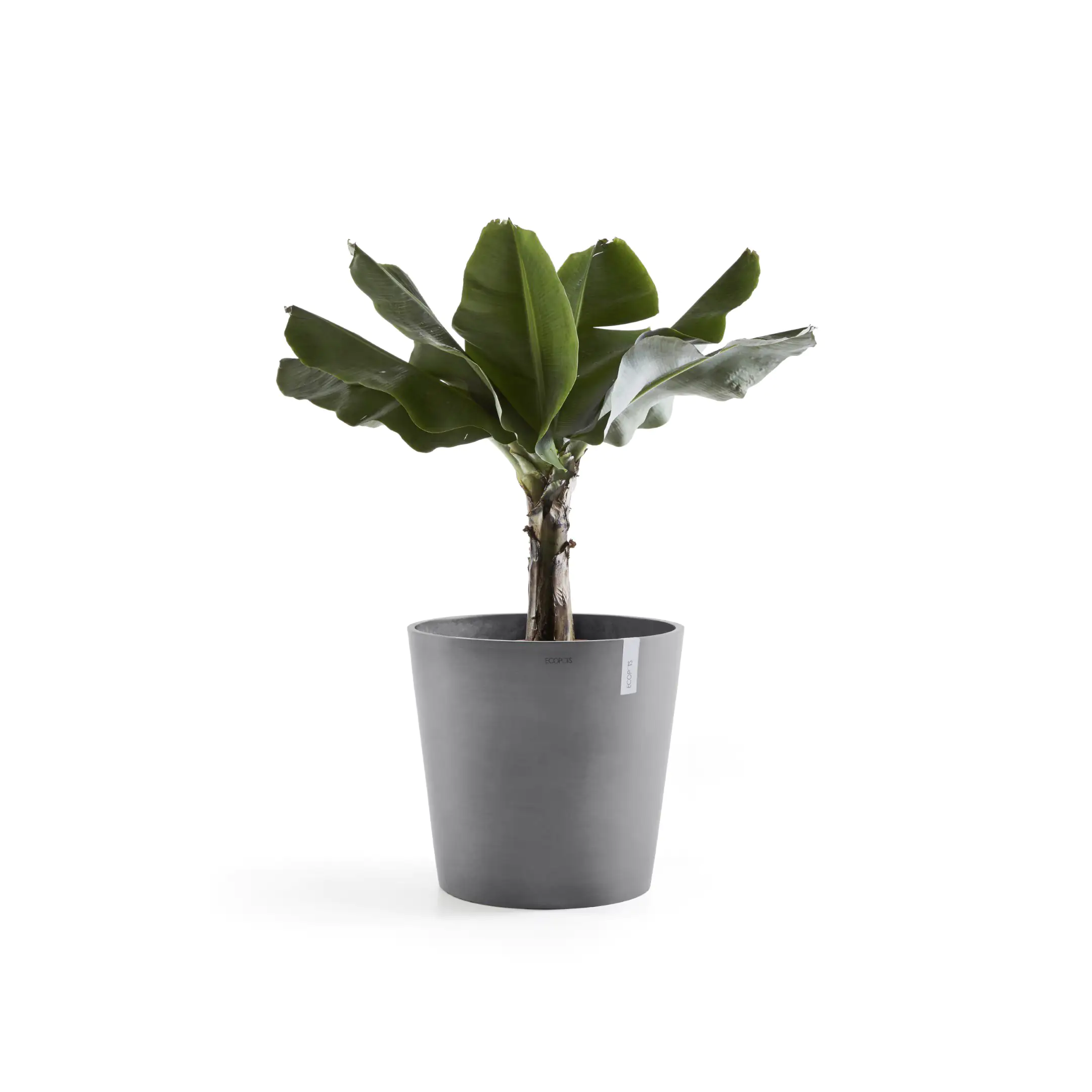 Ecopots Pflanztopf Amsterdam Ø 50 x 43,8 cm grau Ecopots Pflanztopf Amsterdam Ø 50 x 43,8 cm grau