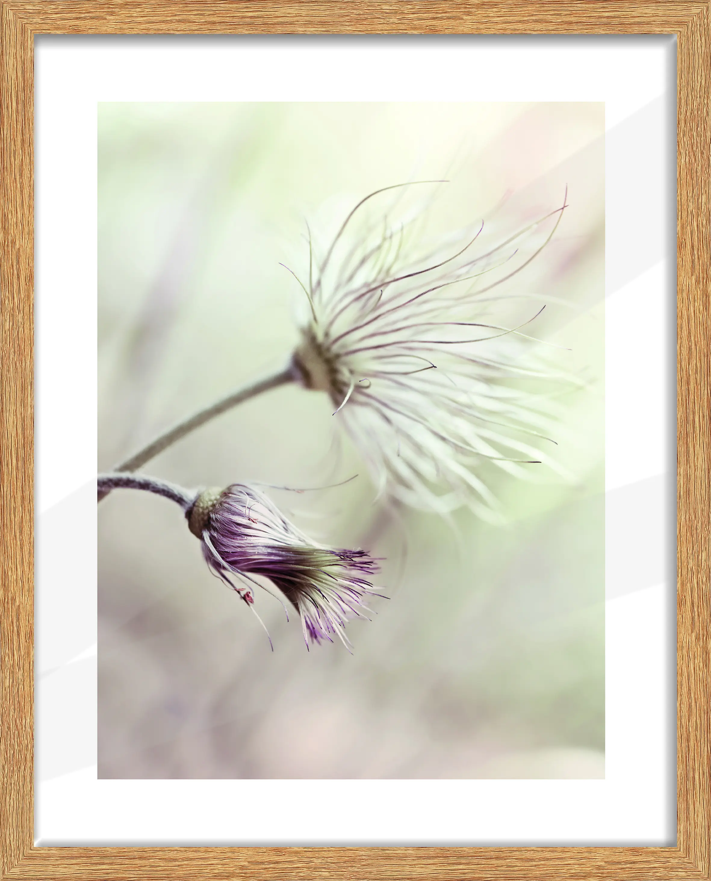 Bilderrahmen Holz Arosa eiche hell 40 x 50 cm 