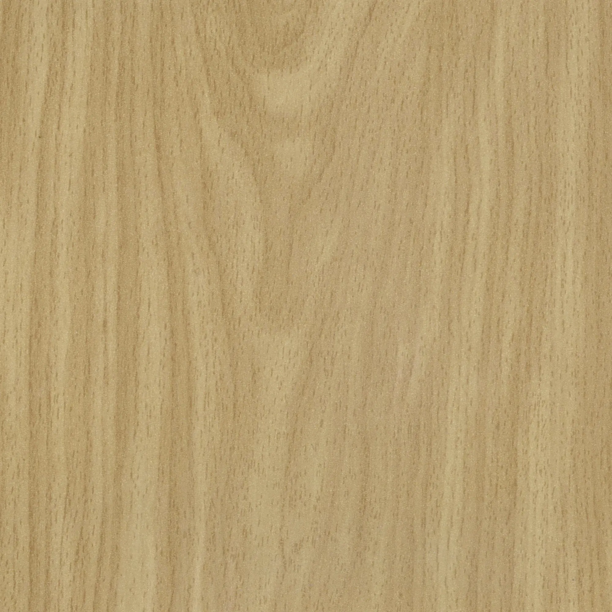 Neuhofer Fußleiste 240 cm 58 x 19 mm Buche Royal SB