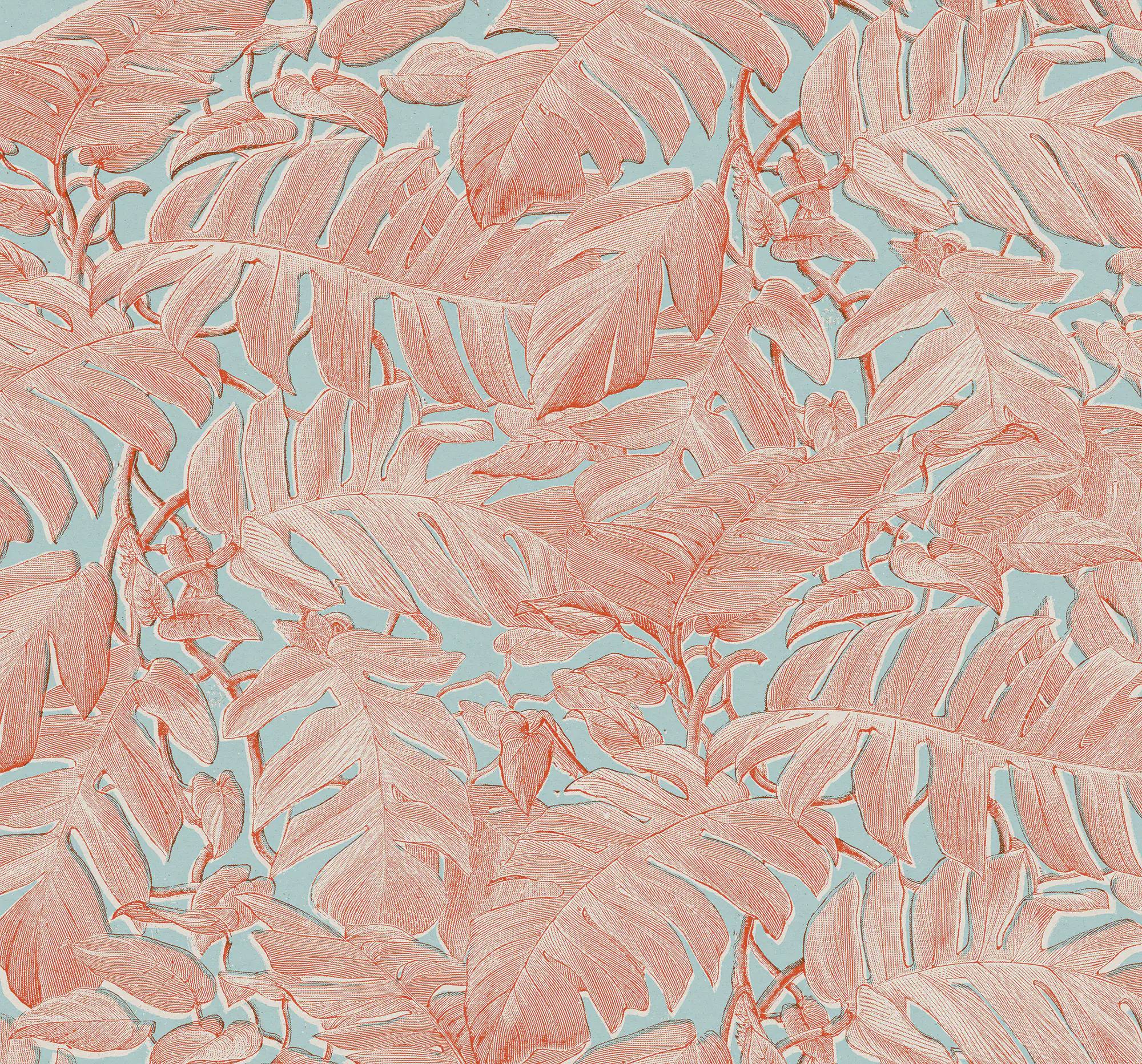 Komar Vlies Fototapete Coralla 300 x 280 cm 