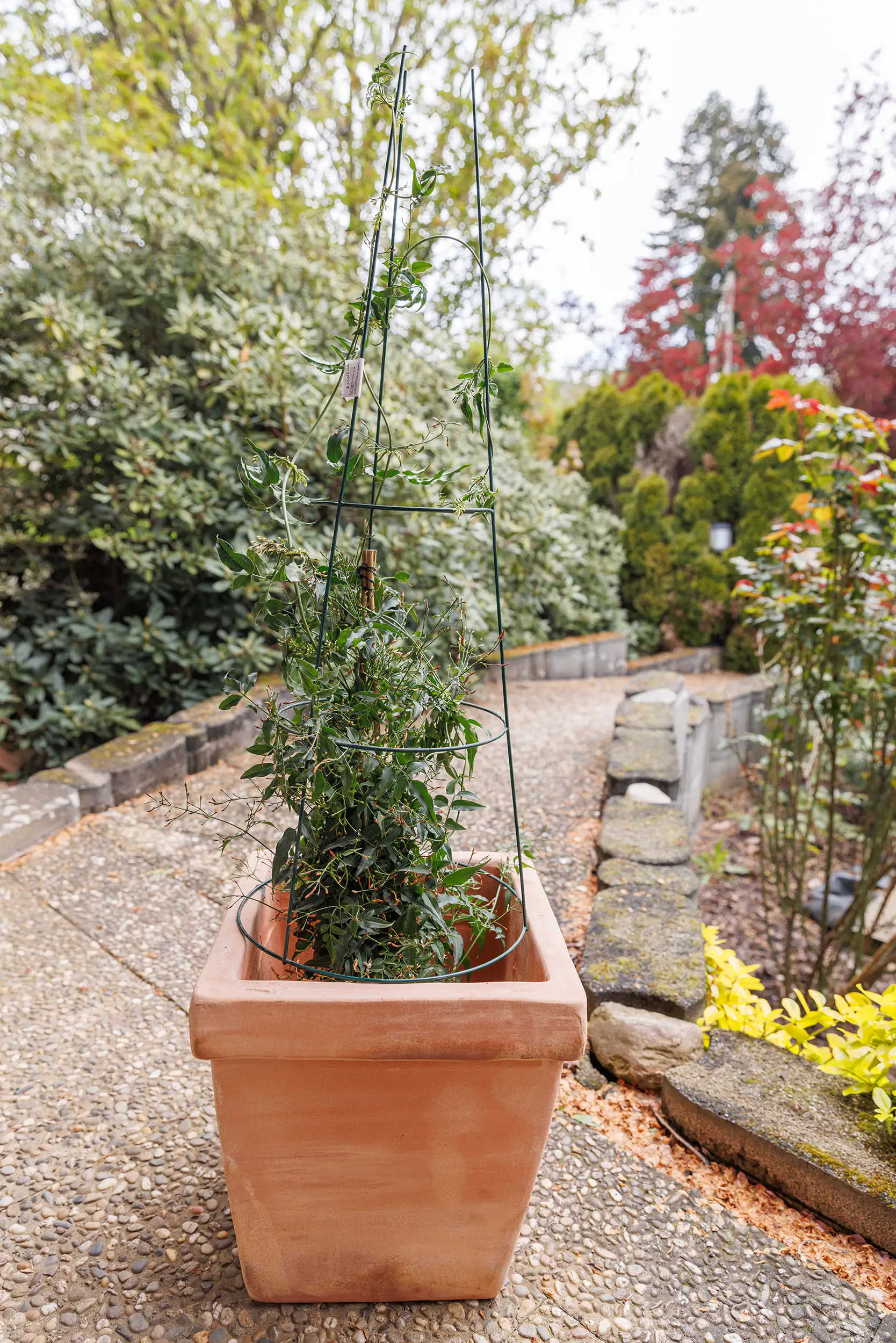 TrendLine Rankstütze Ø 35 x 105 cm