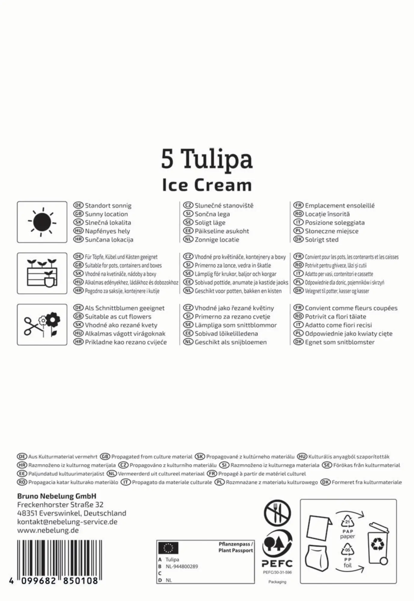 Kiepenkerl Herbstblumenzwiebel Profi-Line Tulpe Ice Cream 5 Stück