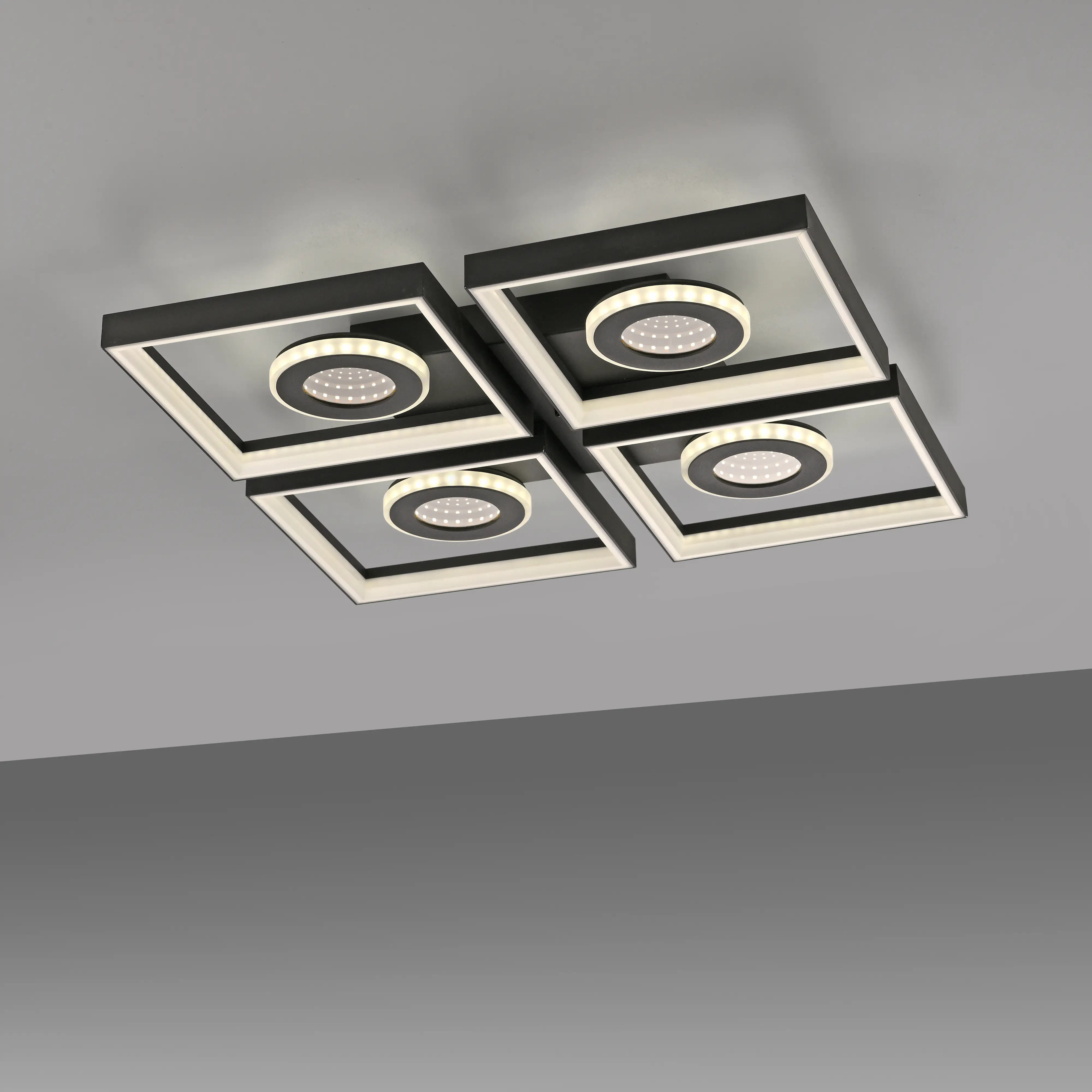 Paul Neuhaus LED Deckenleuchte Traforo 53 cm warmweiß-kaltweiß dimmbar Paul Neuhaus LED Deckenleuchte Traforo 53 cm warmweiß-kaltweiß dimmbar