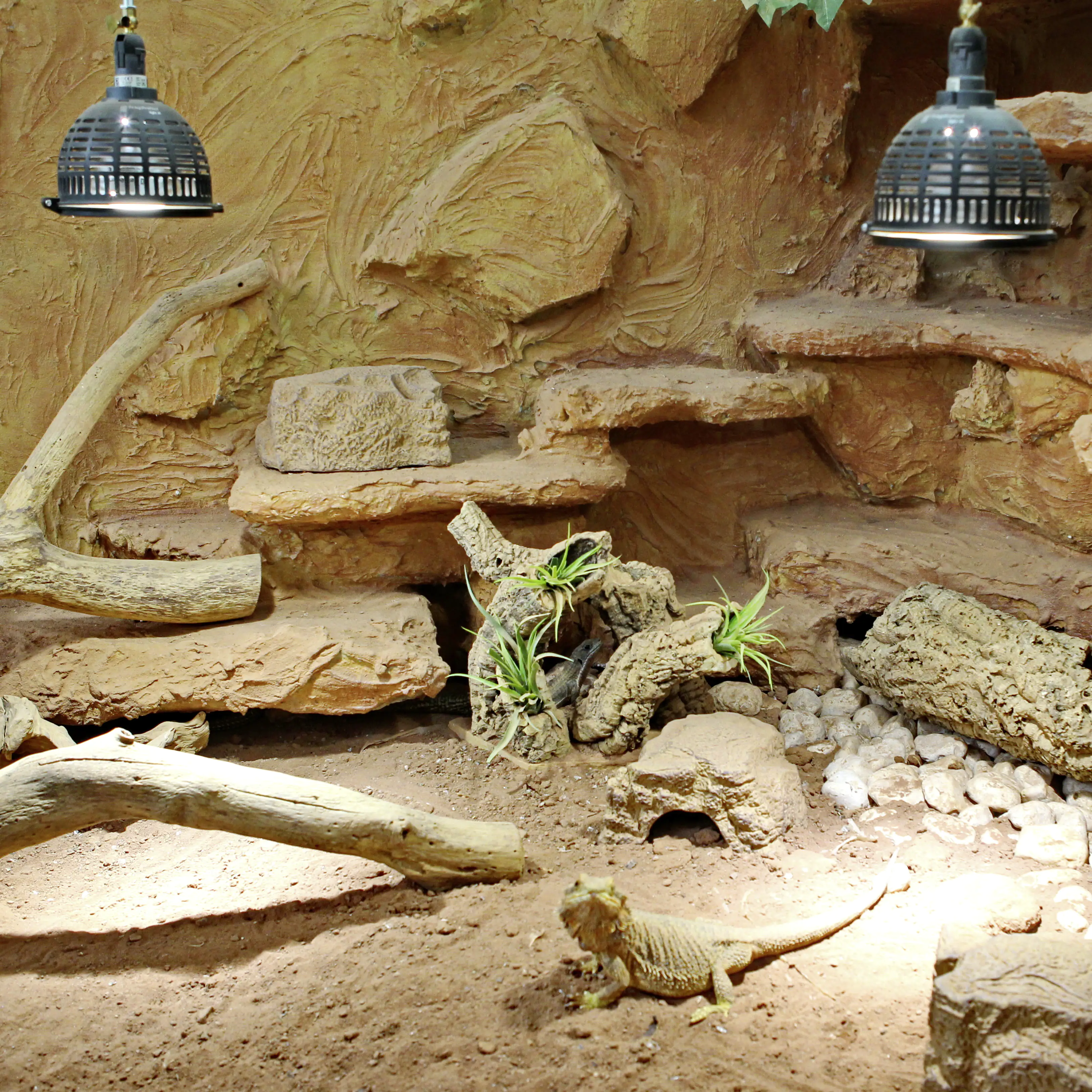 4014162711915_2241898 JBL Lampenschirm TempProtect II Light L schwarz