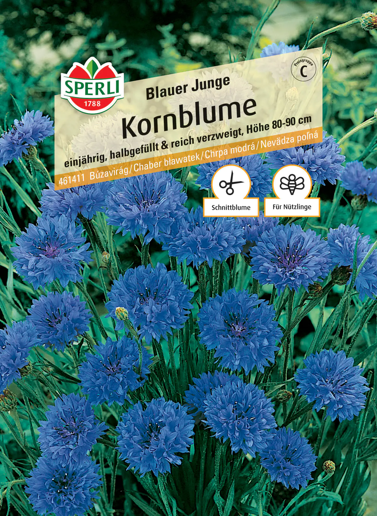 Sperli Kornblume Blauer Junge