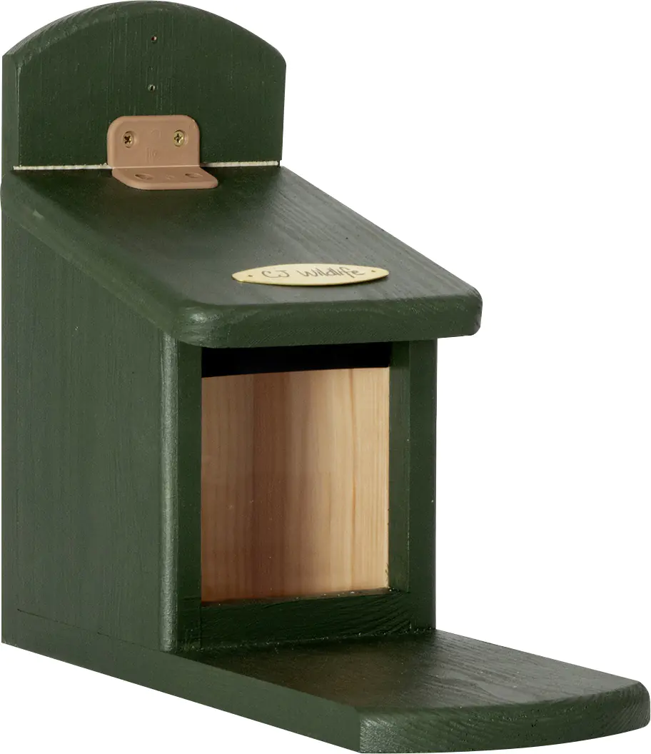 CJ Wildlife Eichhörnchen Futterautomat Tofino grün LxBxH: ca. 30x13x22,5 cm