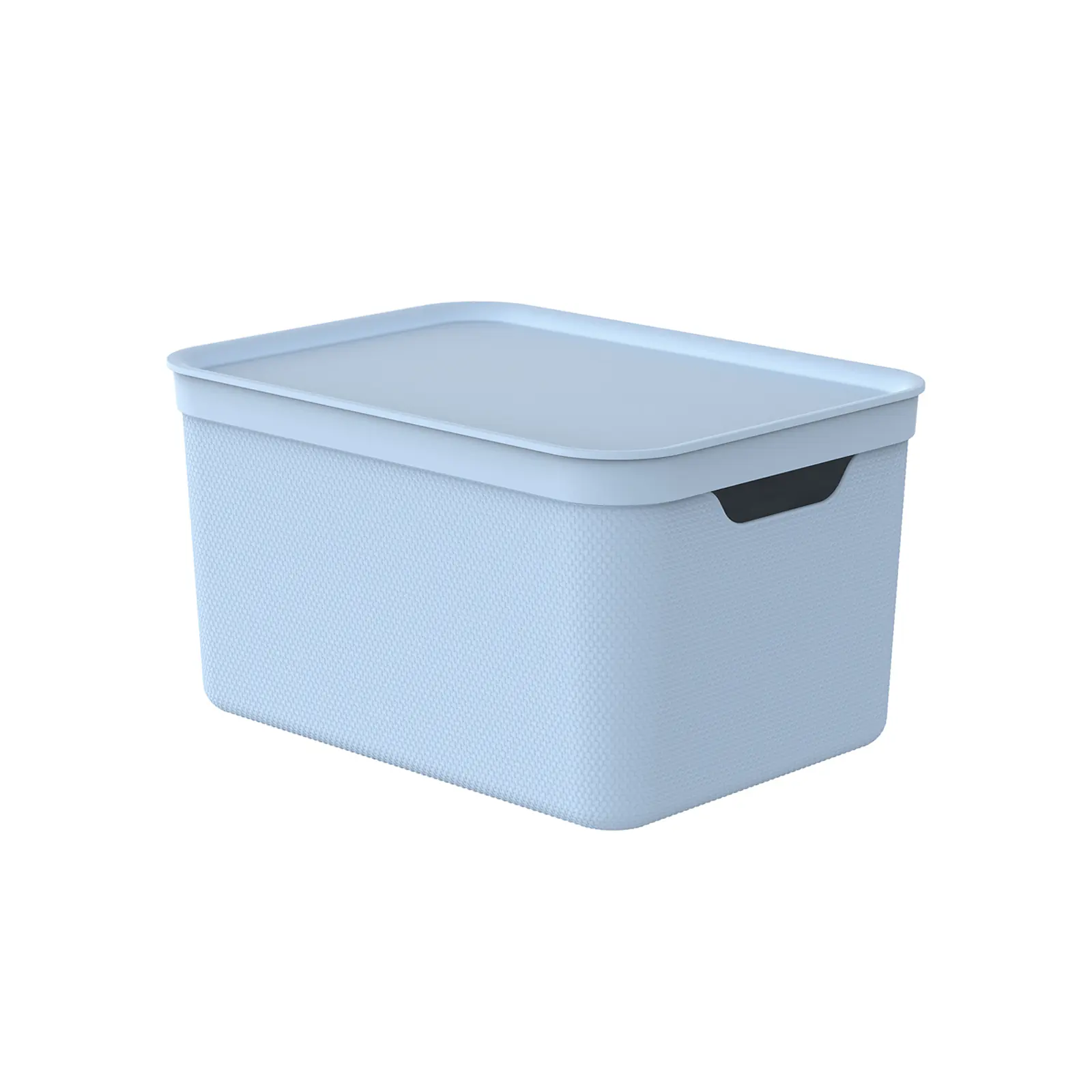 Rotho Aufbewahrungsbox Alvra mit Deckel 36,5 x 26,5 cm 16 L soft blau