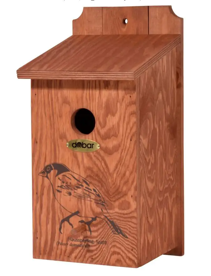Dobar Nistkasten Haussperling Kiefernholz lasiert LxBxH: 17x18x35 cm Dobar Nistkasten Haussperling Kiefernholz lasiert LxBxH: 17x18x35 cm