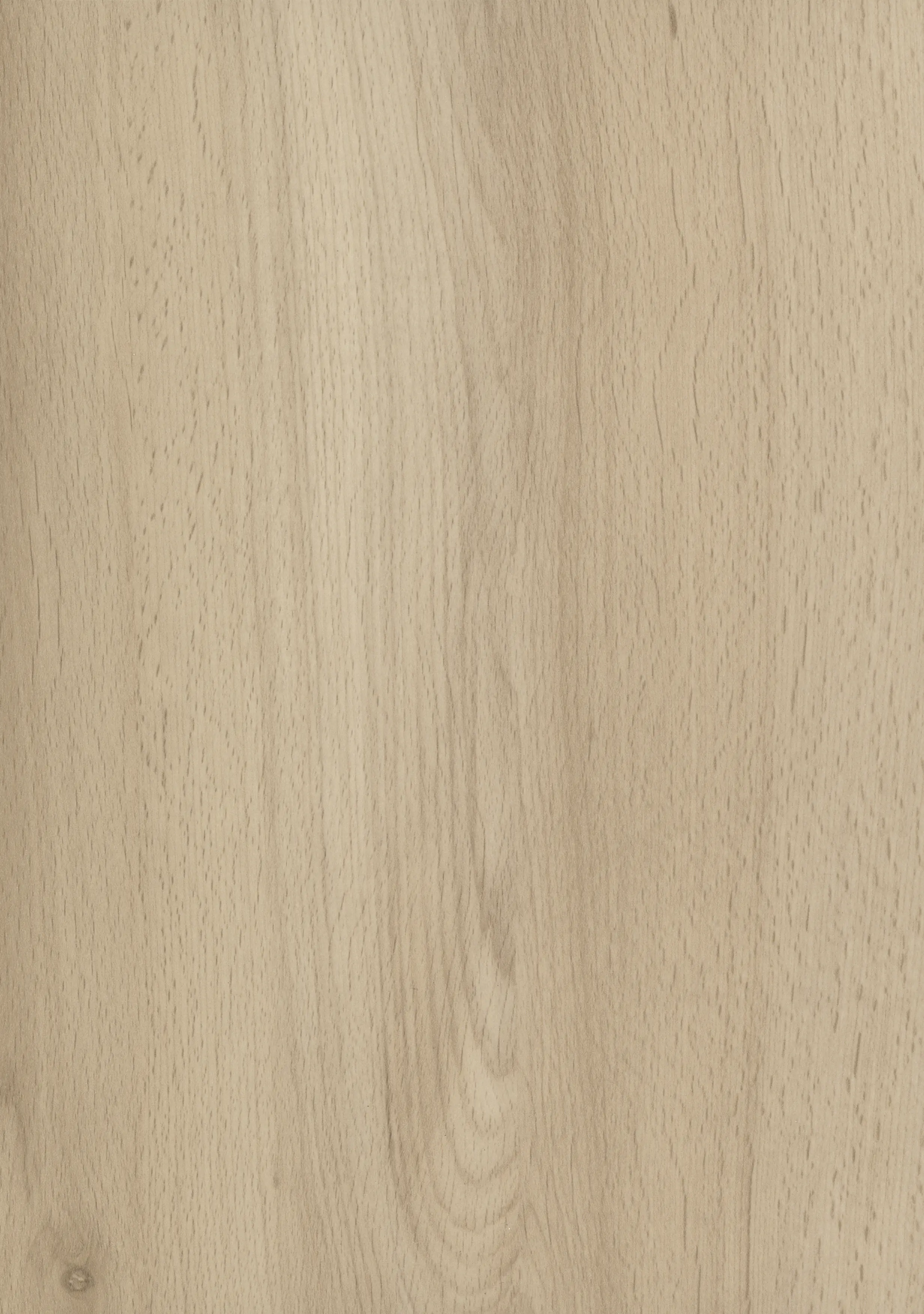 GetaElements Handmuster Arbeitsplatte semper buche