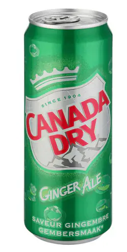 Canada Dry 0,33L